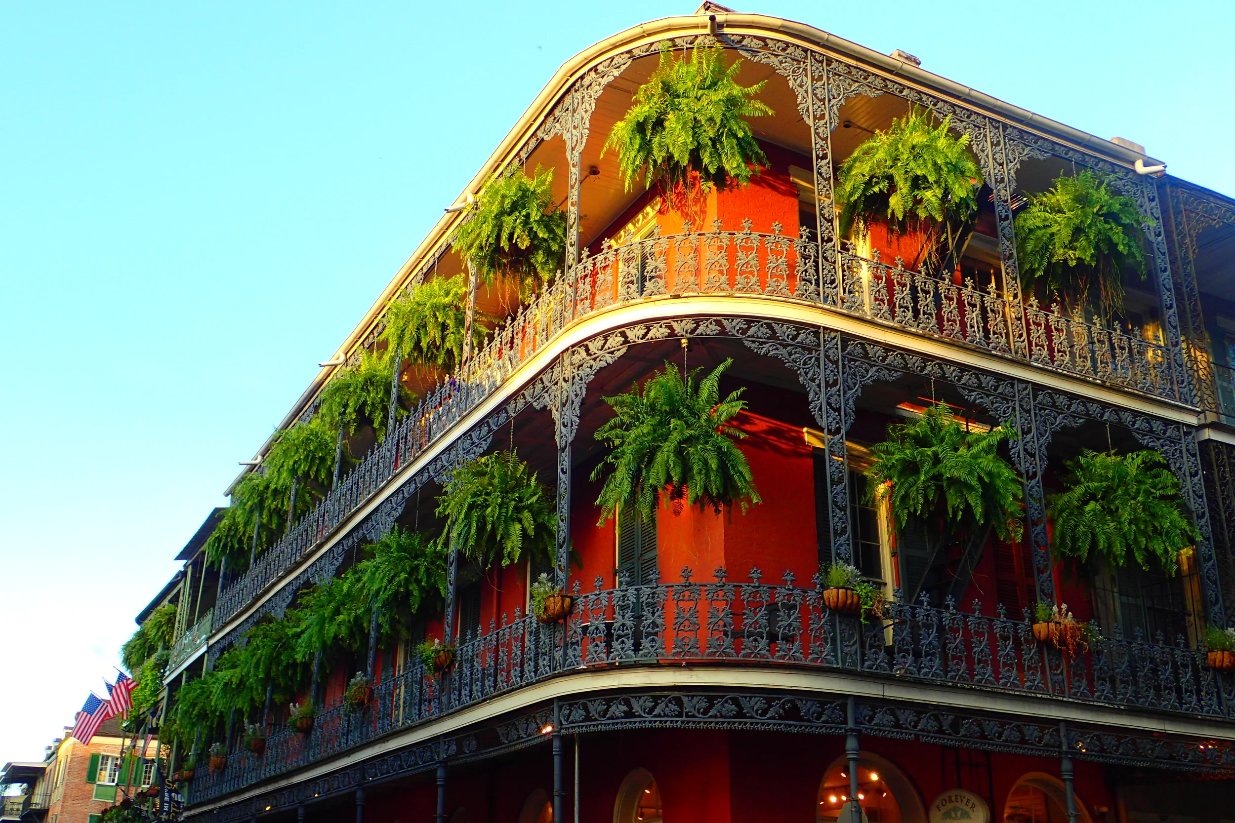 5 Neighborhoods of New Orleans: View From the Streets