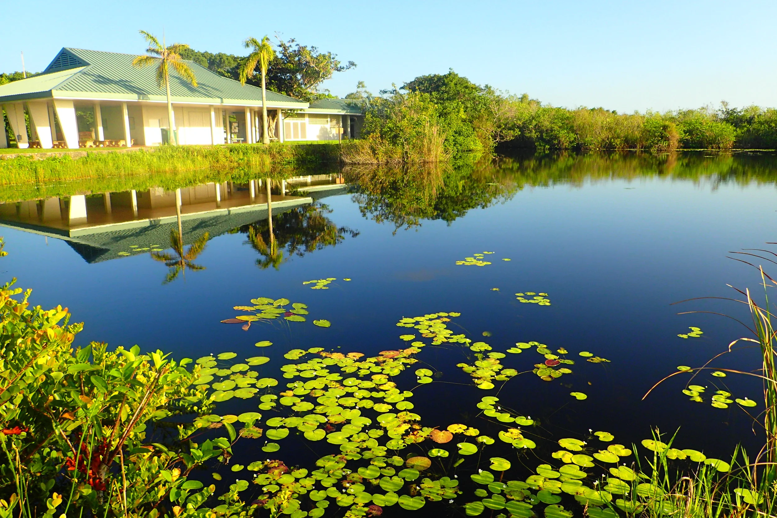 How NOT to see alligators in the Florida Everglades