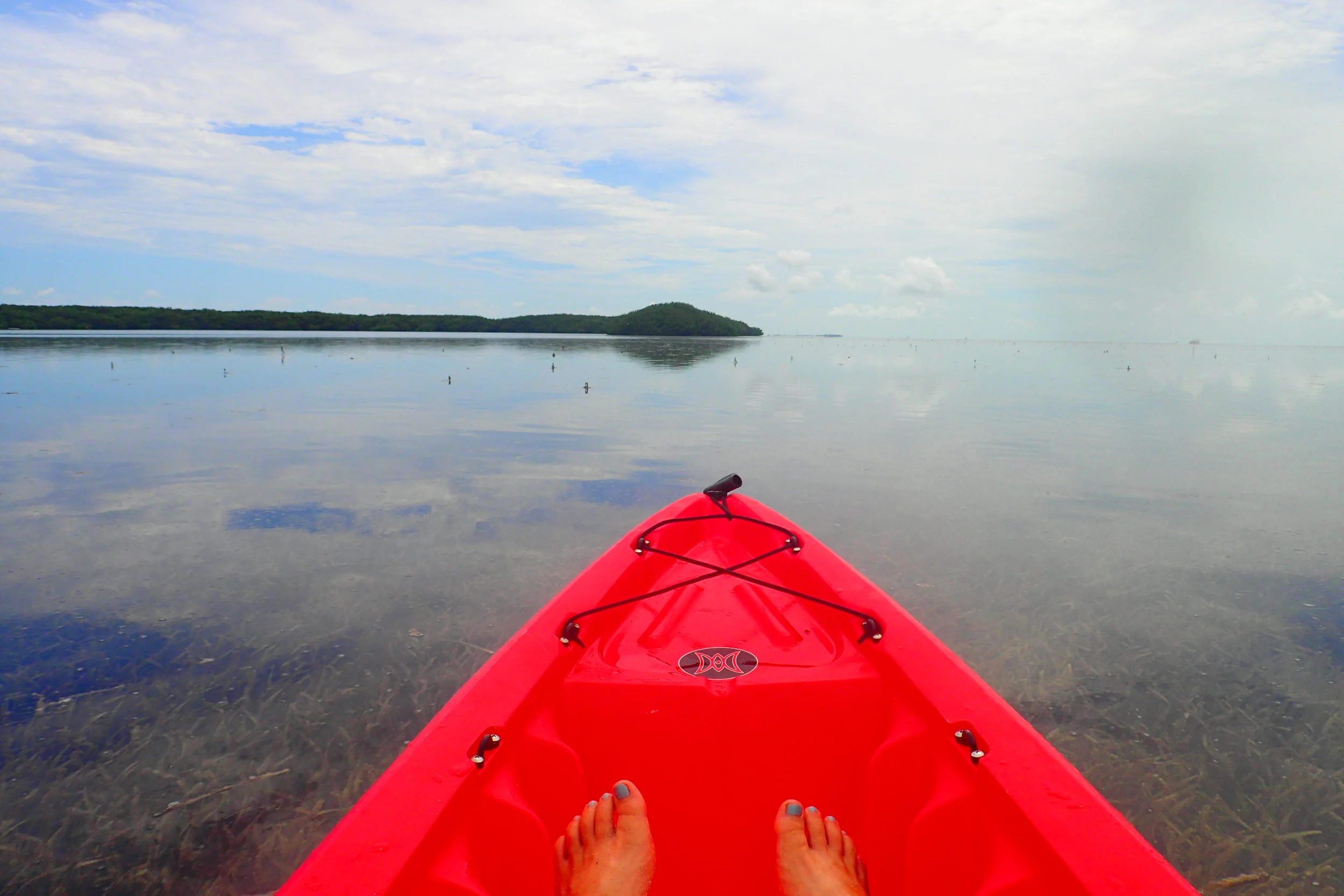 Getting Lost Kayaking Mangroves in the Florida Keys