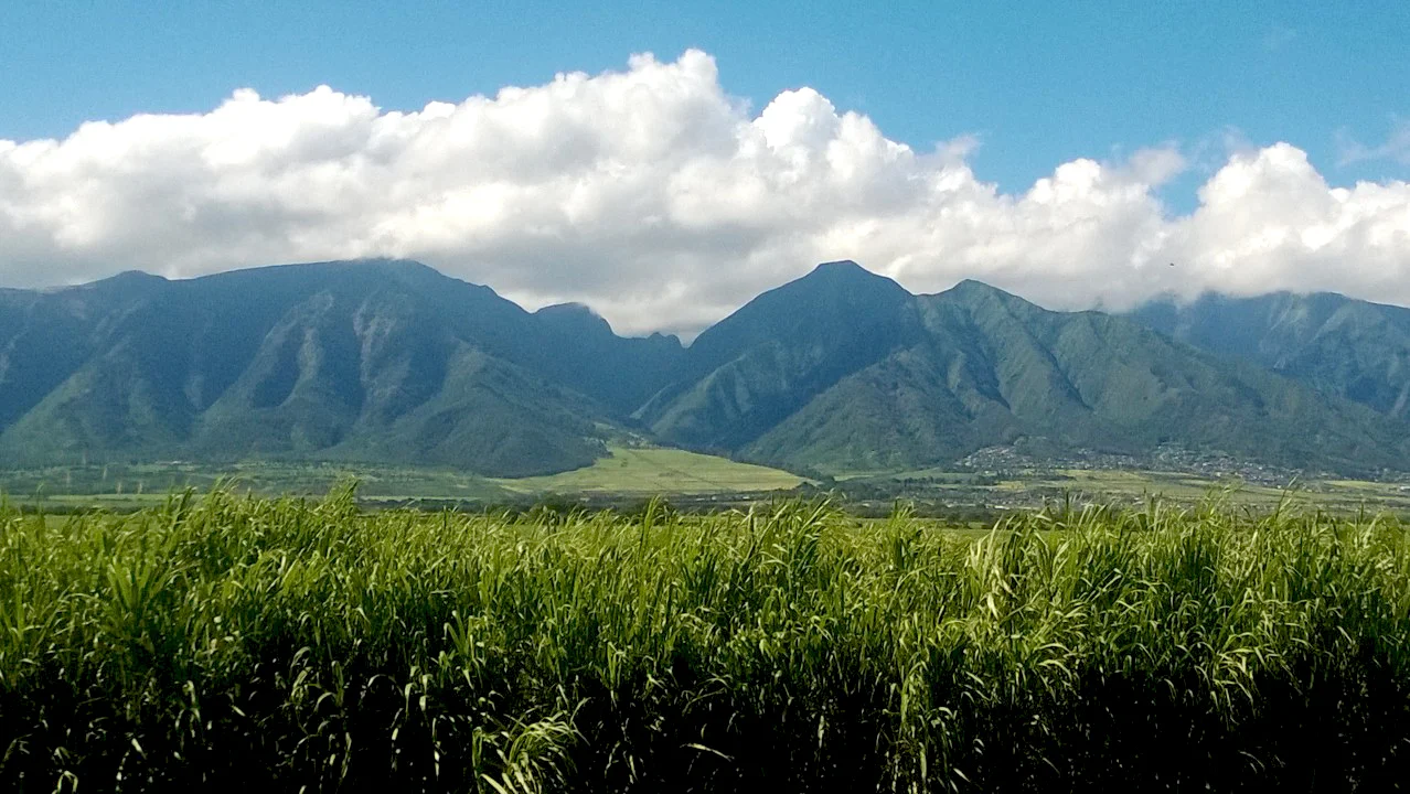My Trip to Maui in 2014
