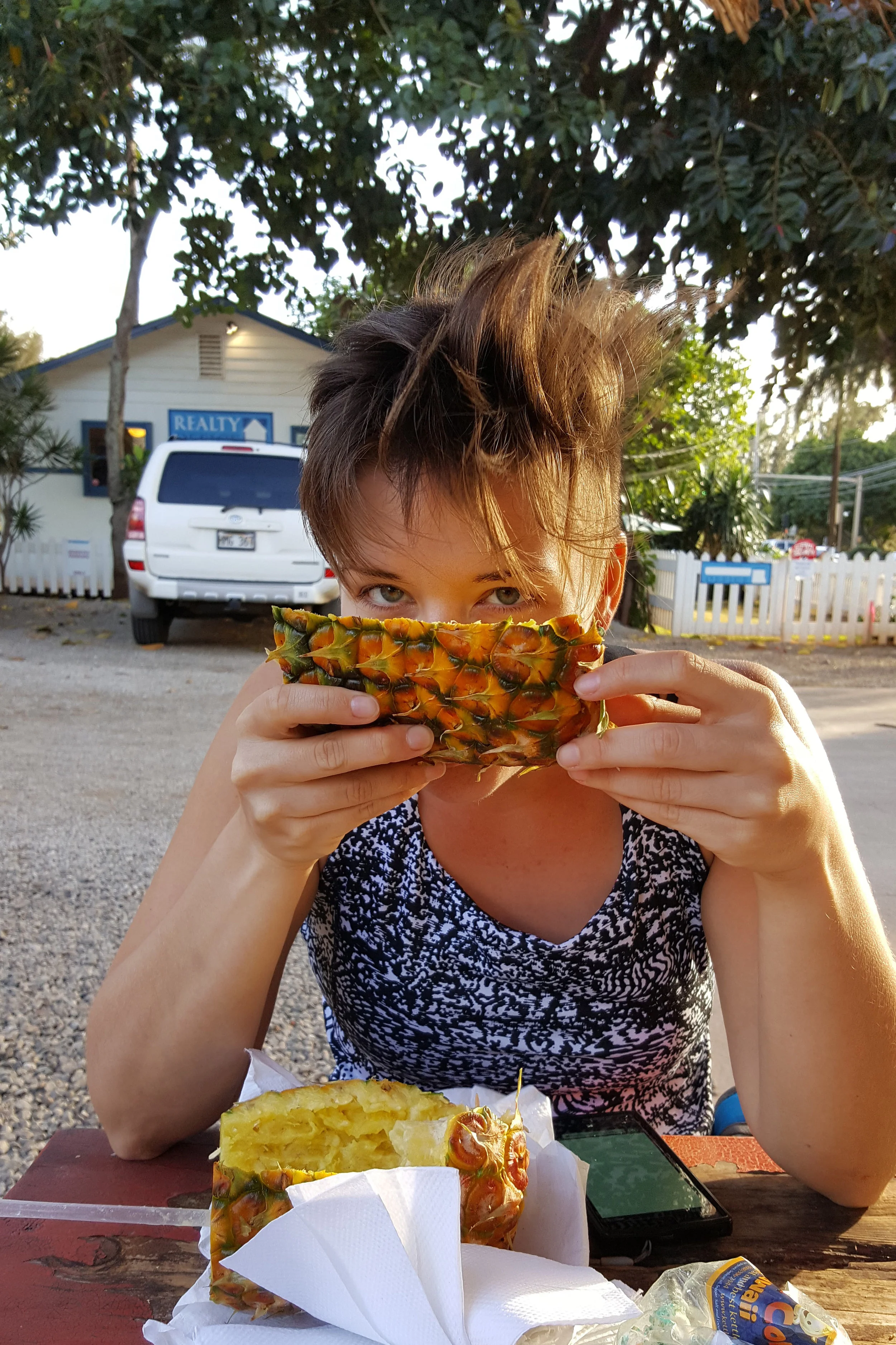 The World's Largest (Pineapple) Maze at Hawaii's Dole Plantation