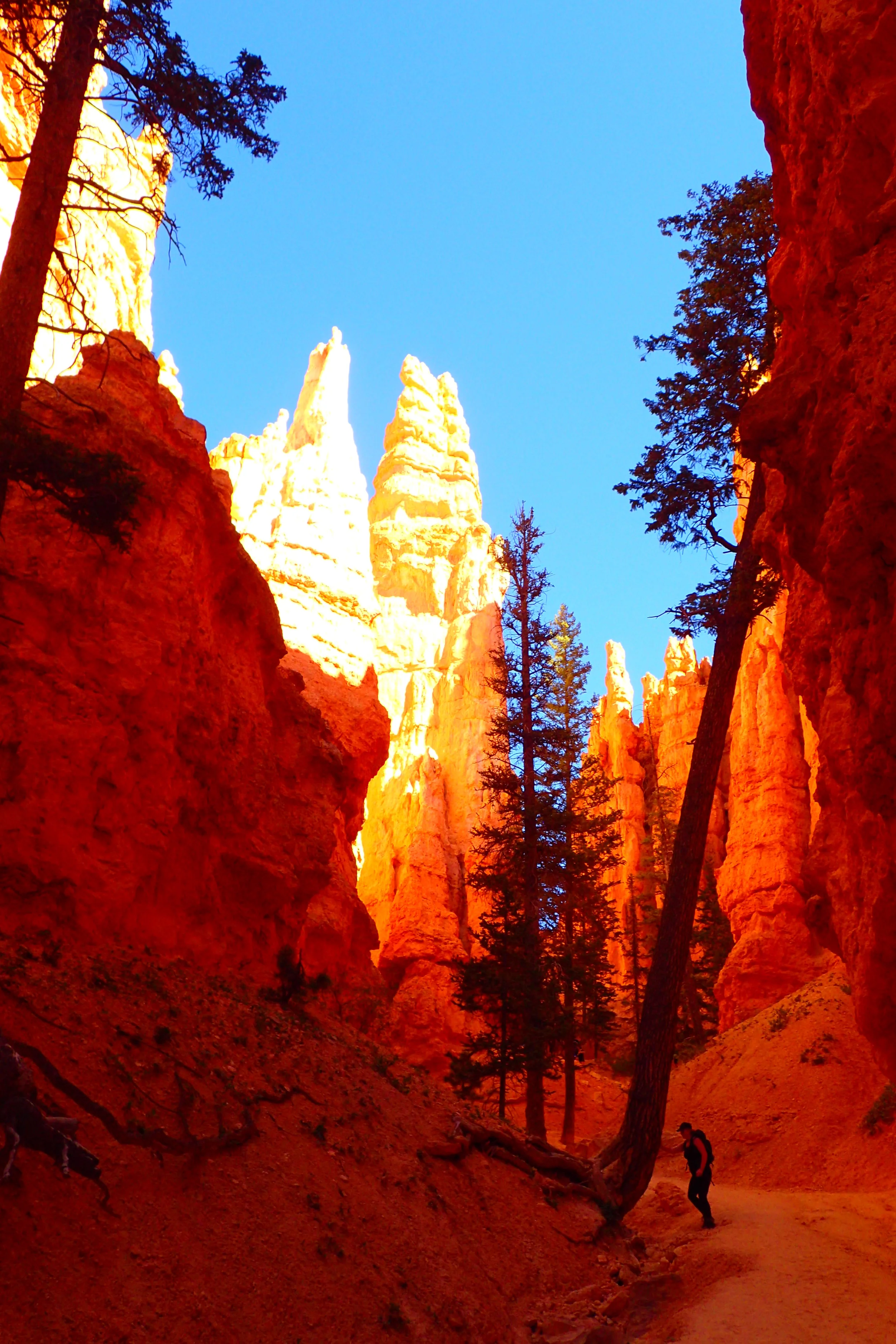 The Best Way to Hike into Bryce Canyon National Park — Deviating the Norm