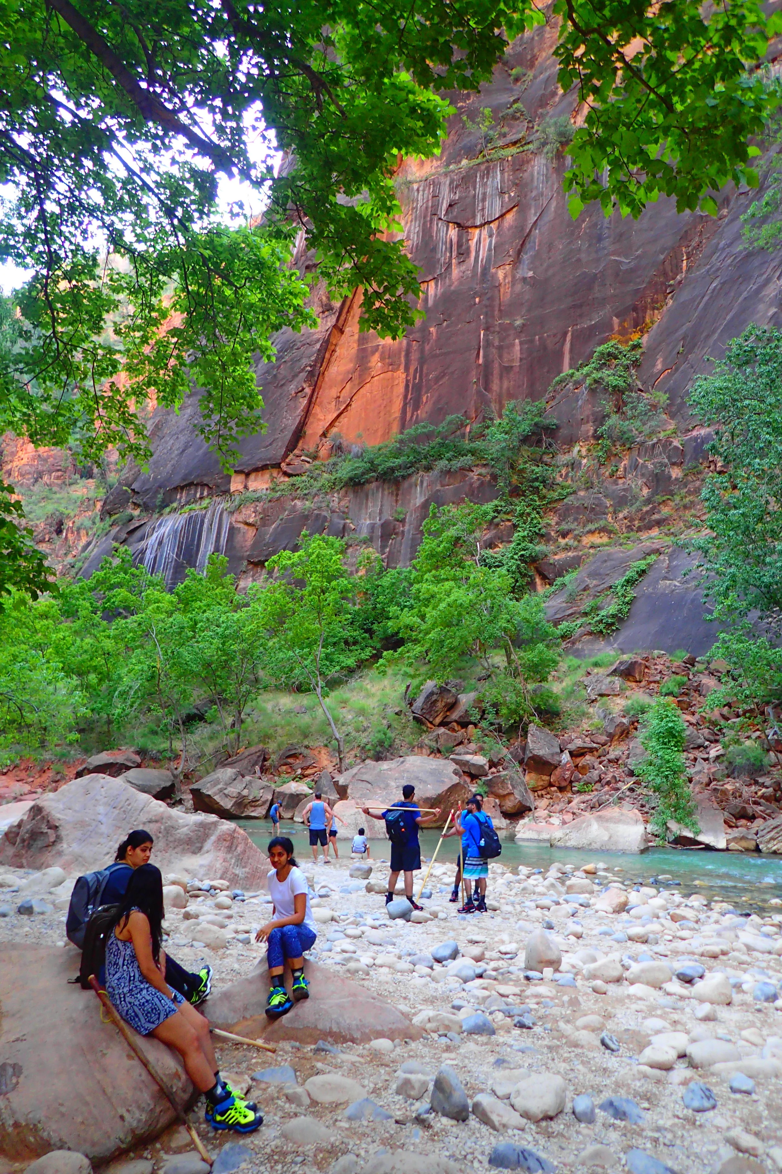 The Difficult Narrows Hike in Zion National Park — Deviating the Norm