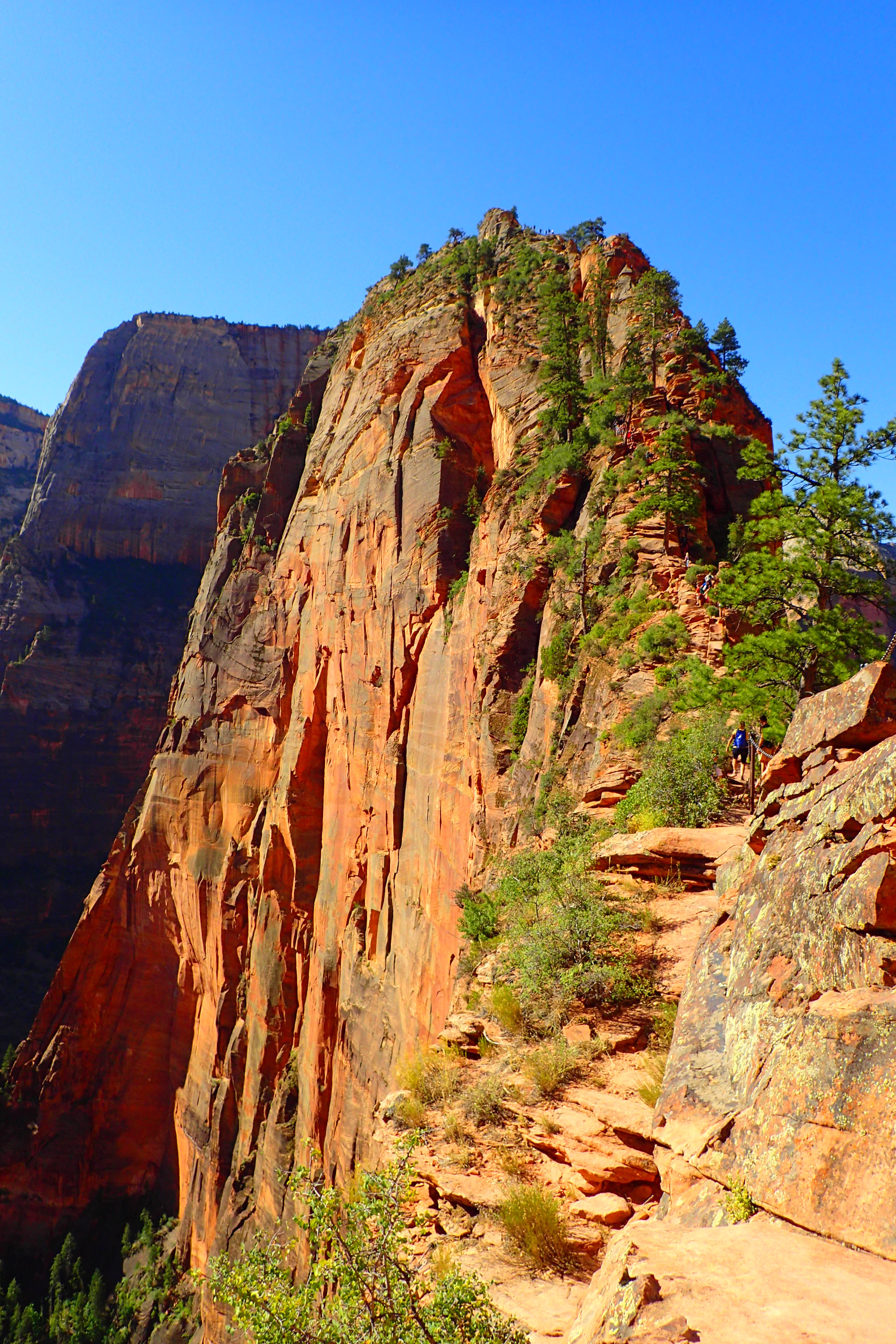 Crowded trail leading to Angel's Landing