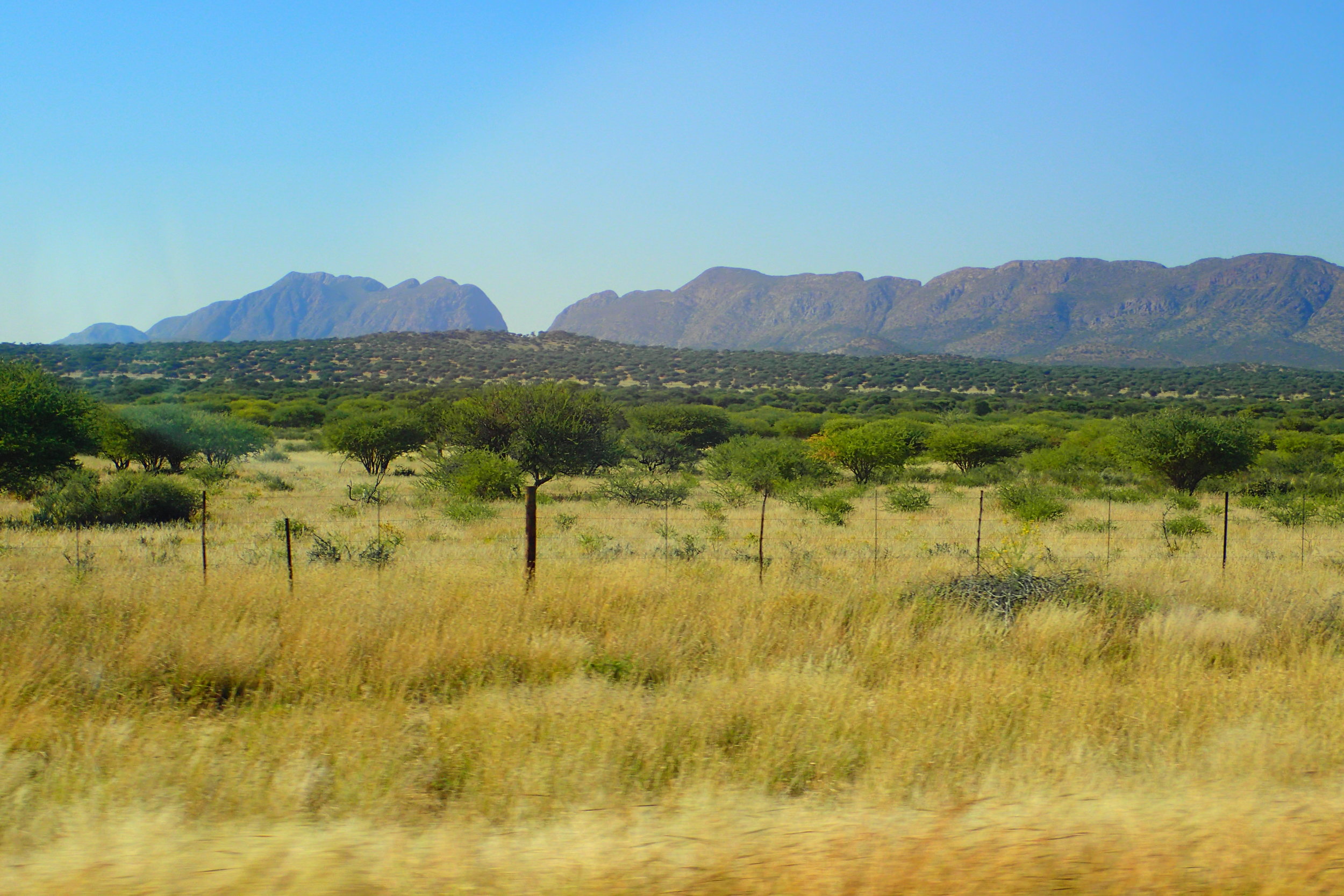 Half of Namibian land is devoted to agriculture