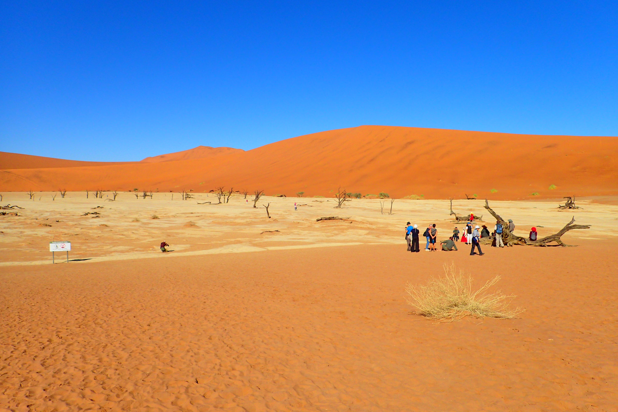 Tourists at Deadvlei much later in the morning