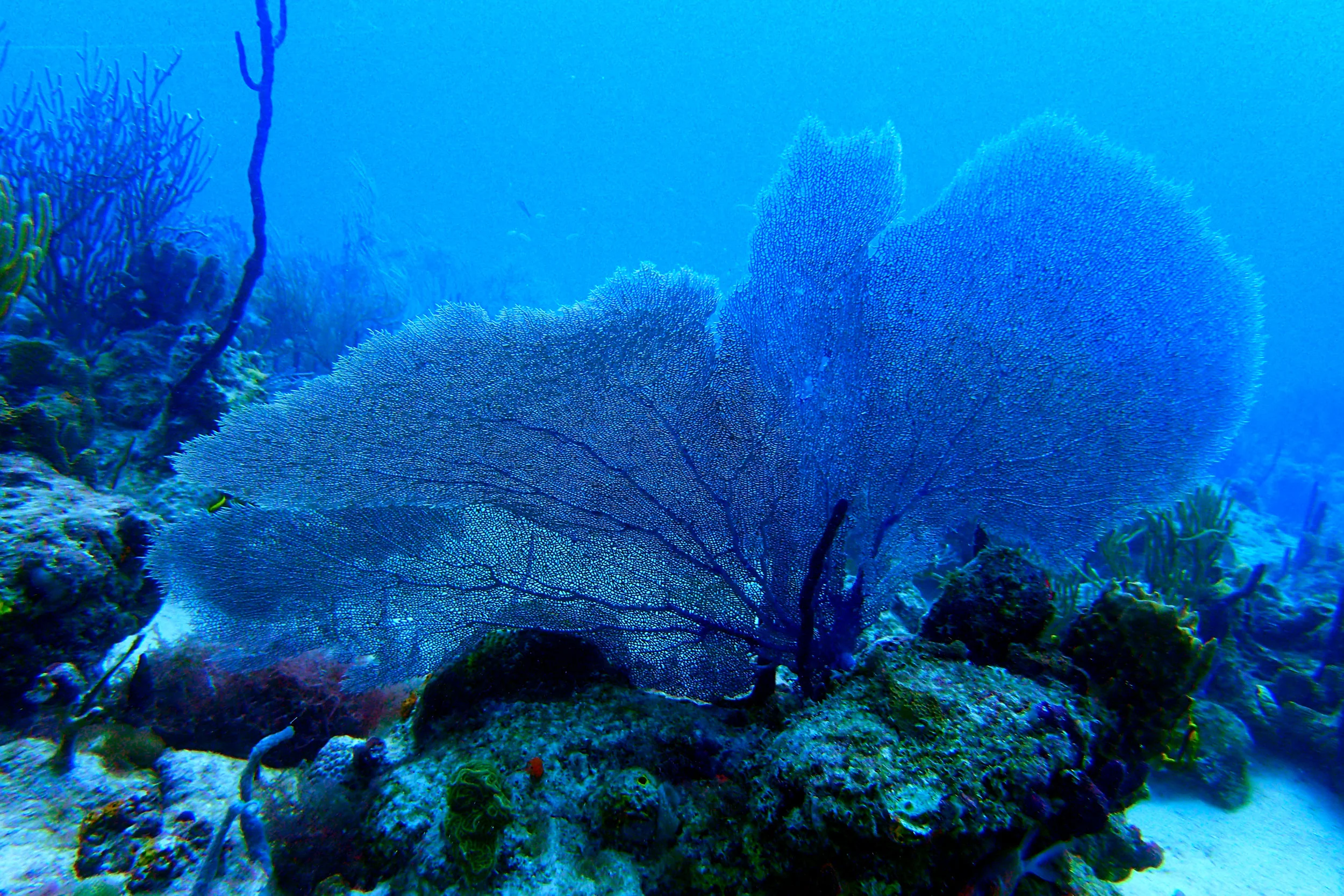 P7104299a.jpg