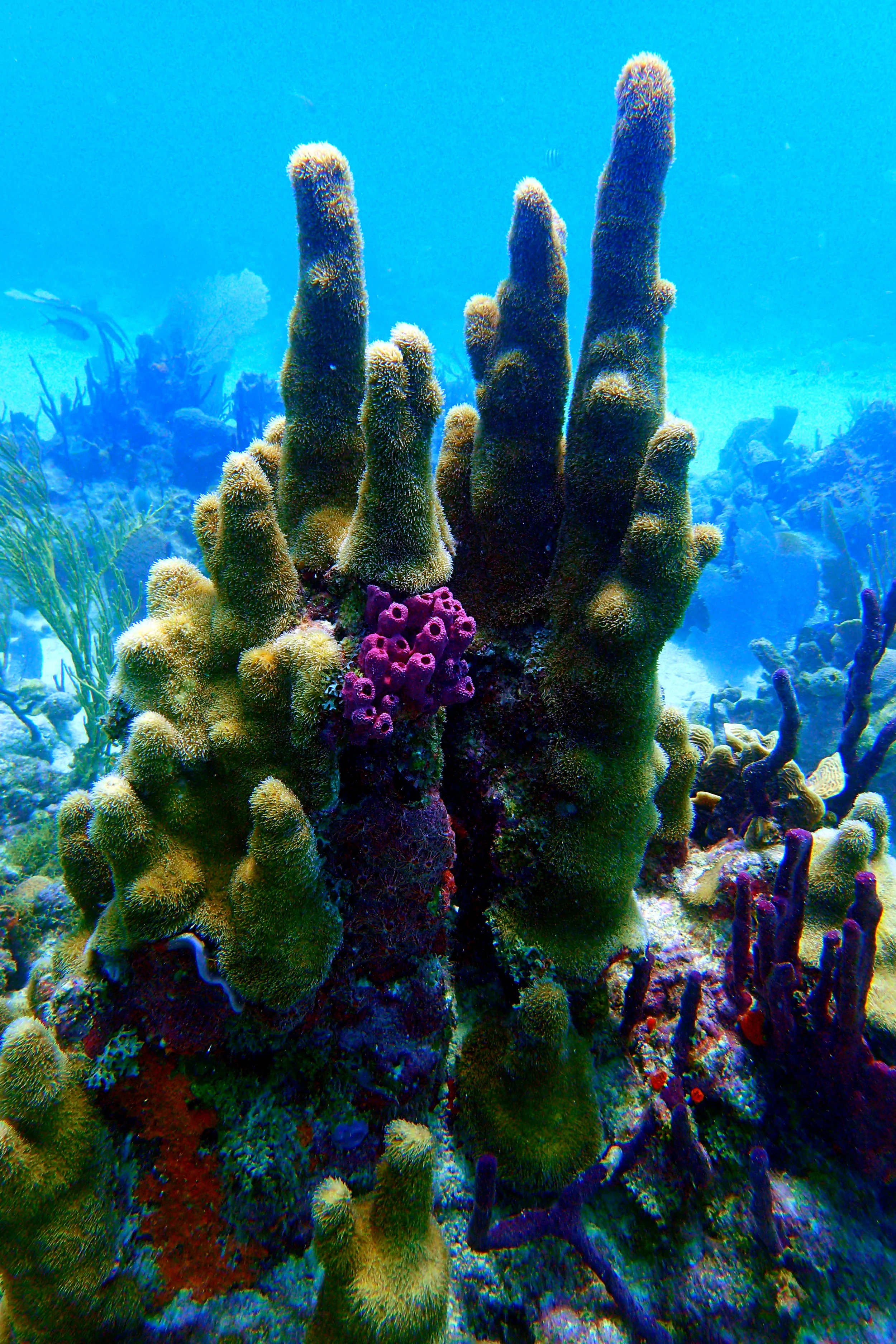 P7104312a.jpg