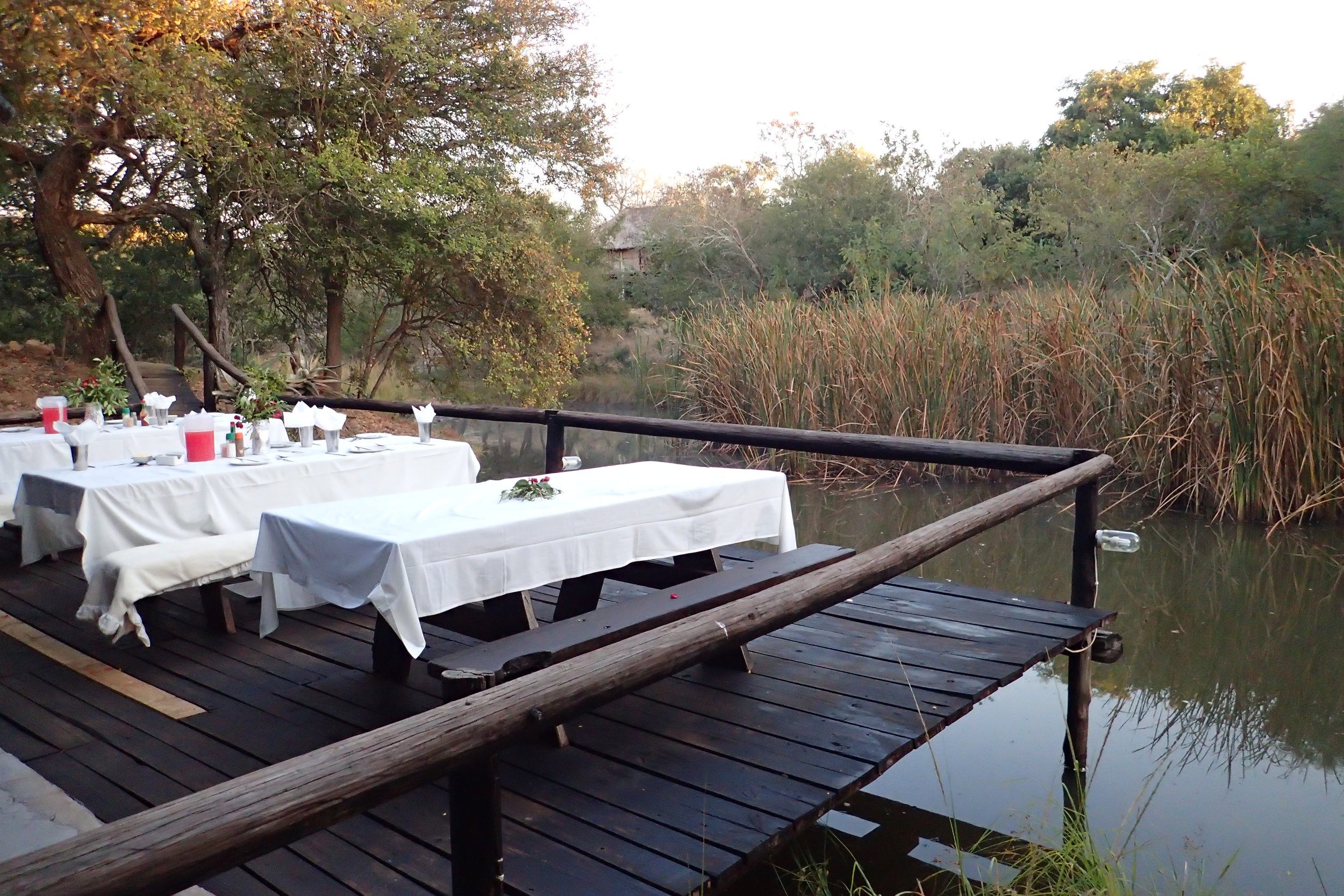Beautiful dining setting at Marcs Treehouse Lodge
