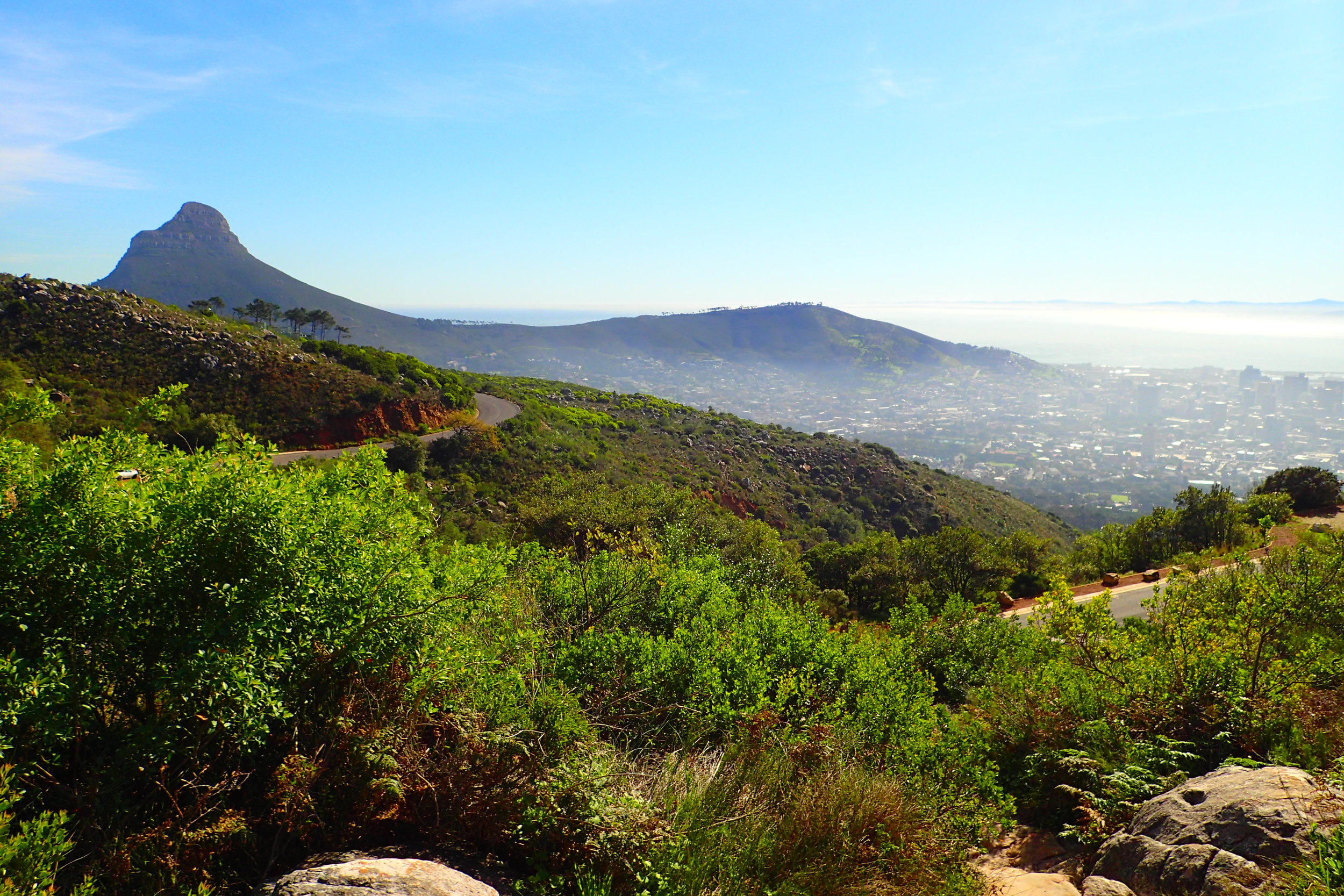 View from bottom of trail of Cape Town, Lion’s Head, Signal Hill and ocean beyond