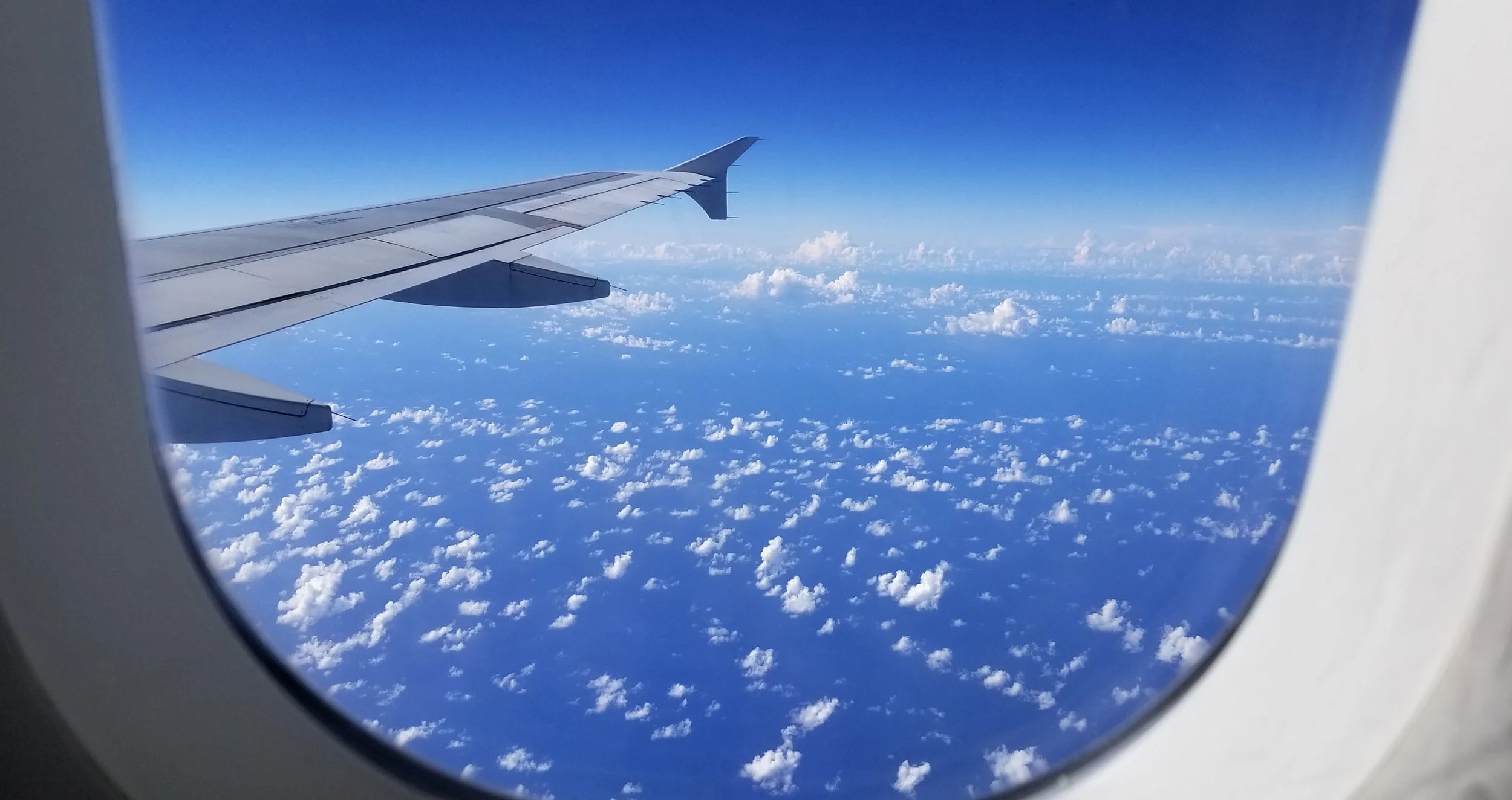 20190112_135609a.jpg