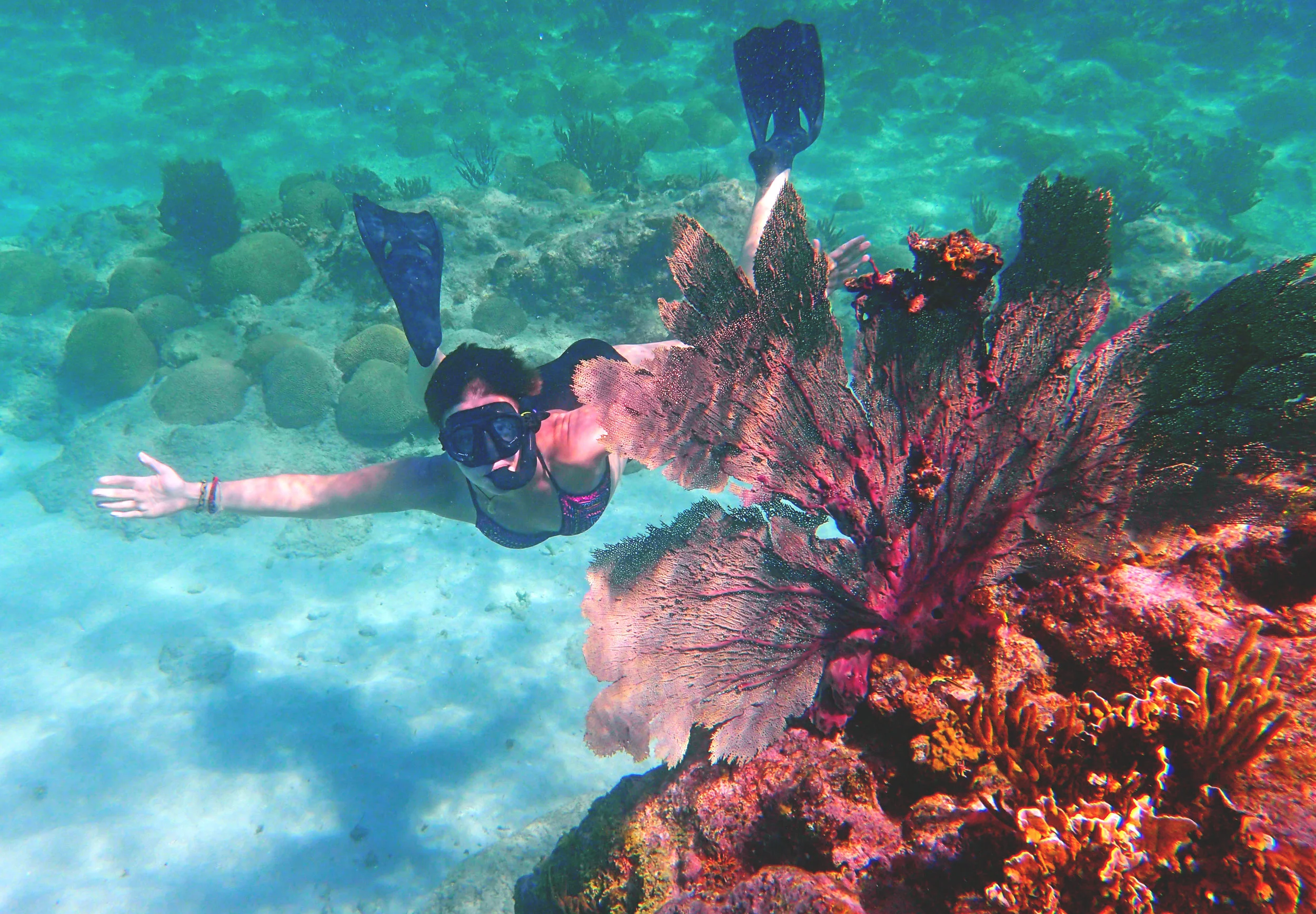 Epic Self-Guided Snorkeling in Curaçao 