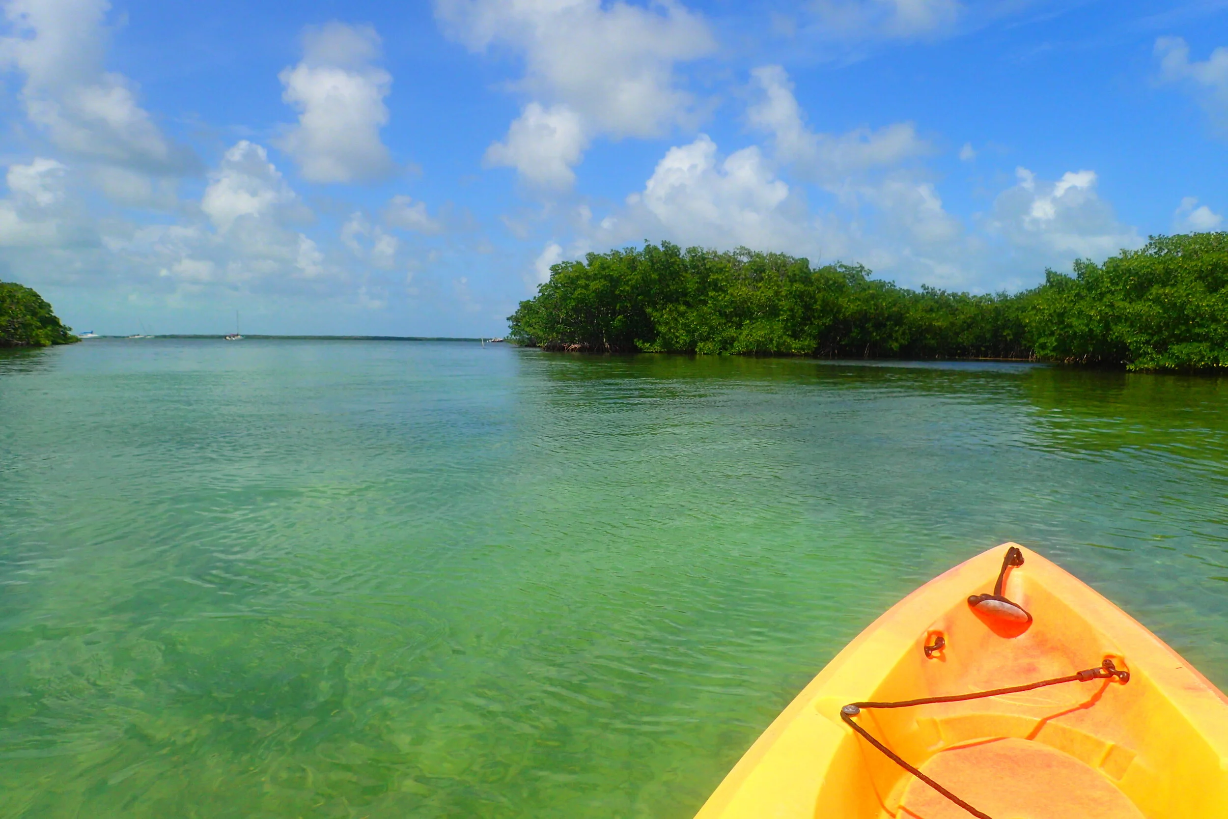 A Day Trip to the Florida Keys—My Life Now!