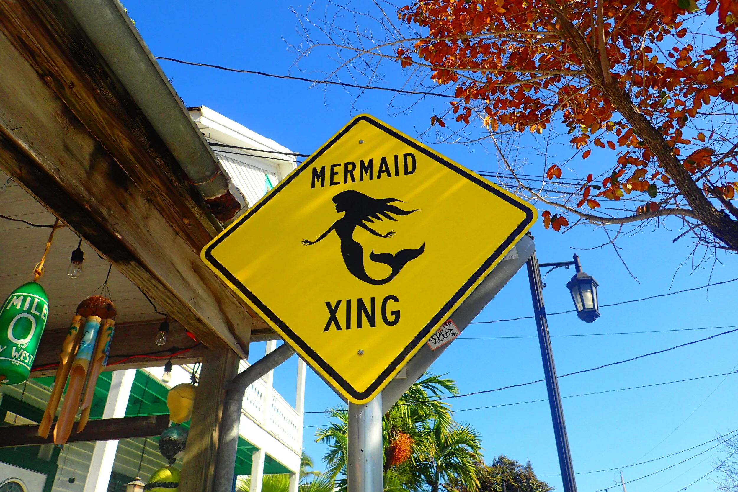 Key West is Quirky and Queer 