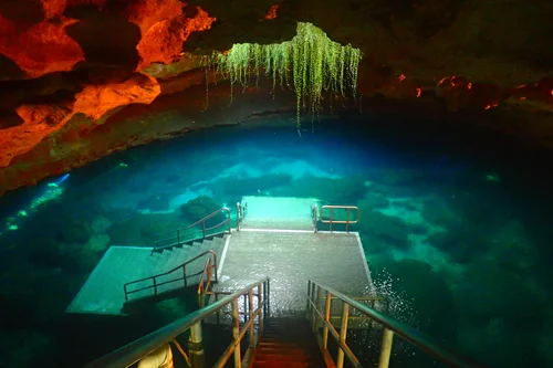 Devil's Den Florida: A Guide to Exploring the Prehistoric Spring