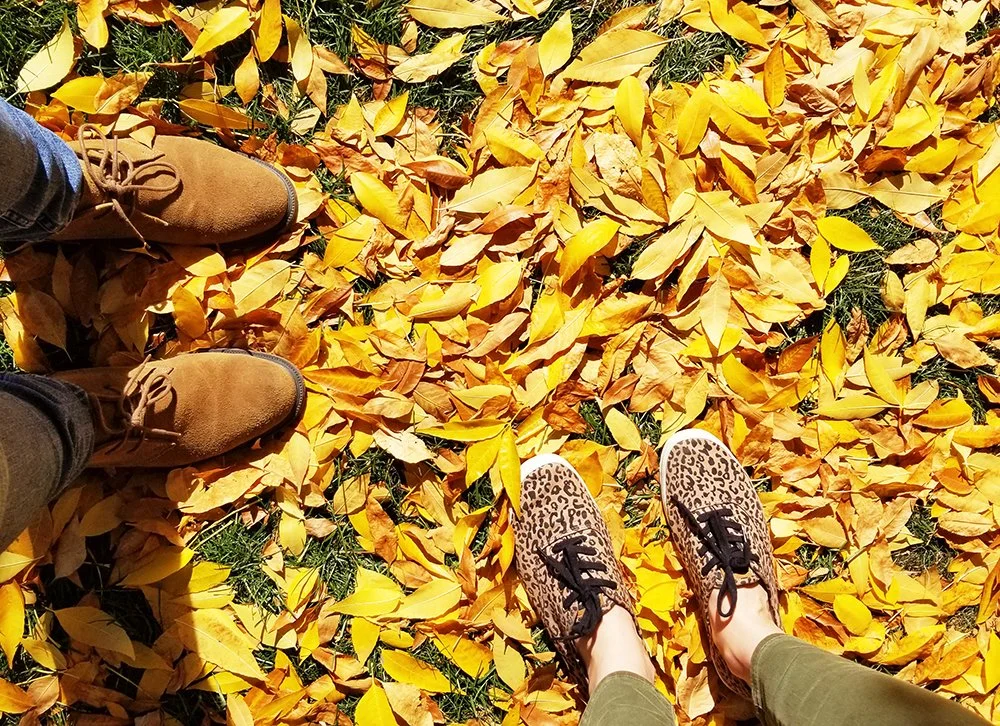 The Most Colorful Autumn in Denver, CO