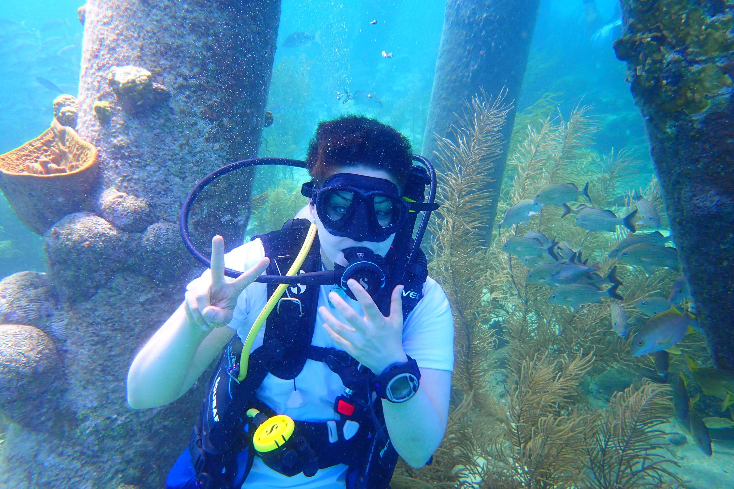 7 Highlights from 7 Nights in Bonaire