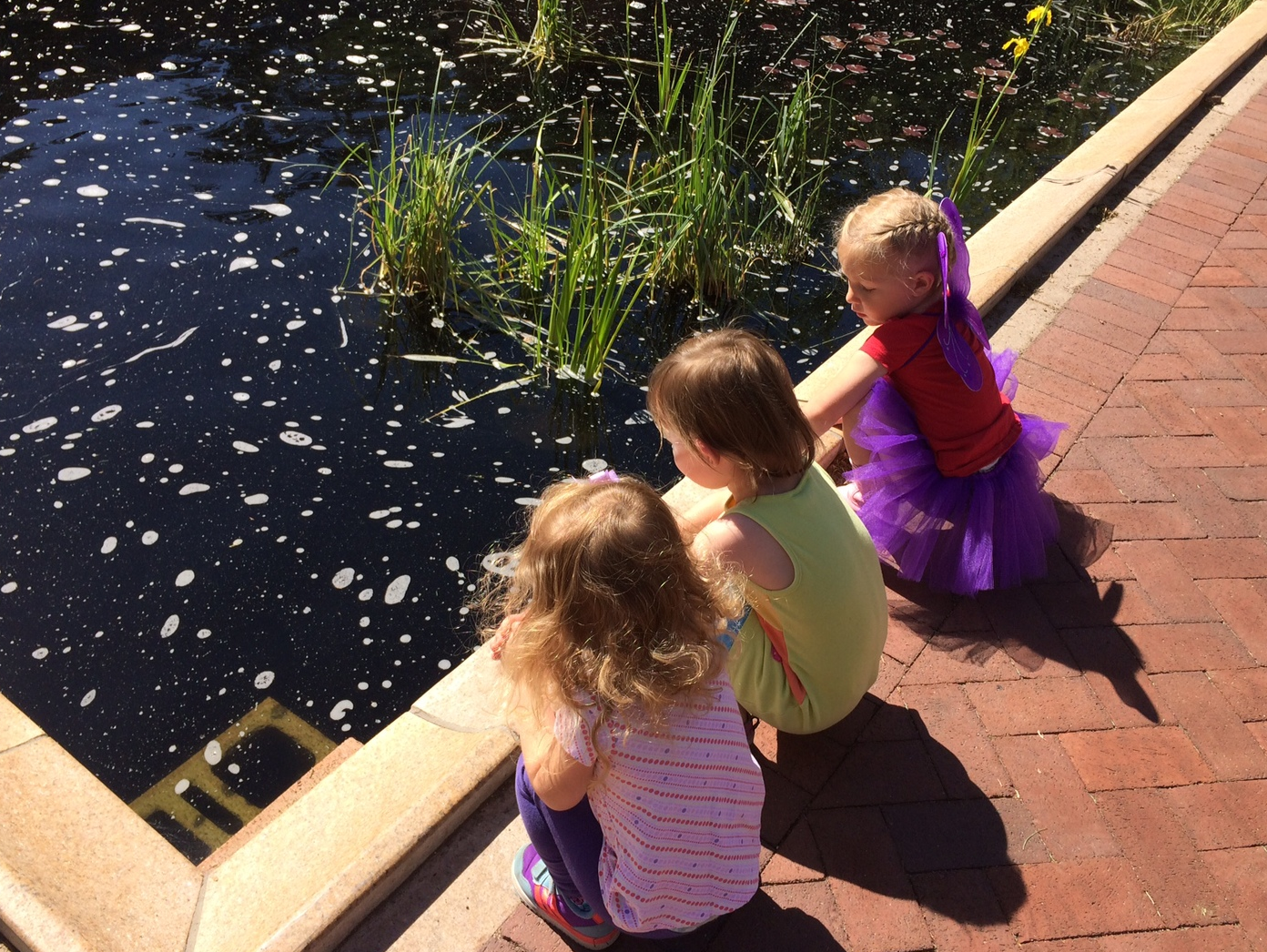 Lakewood Childcare | Waldorf Daycare | Steiner Preschool