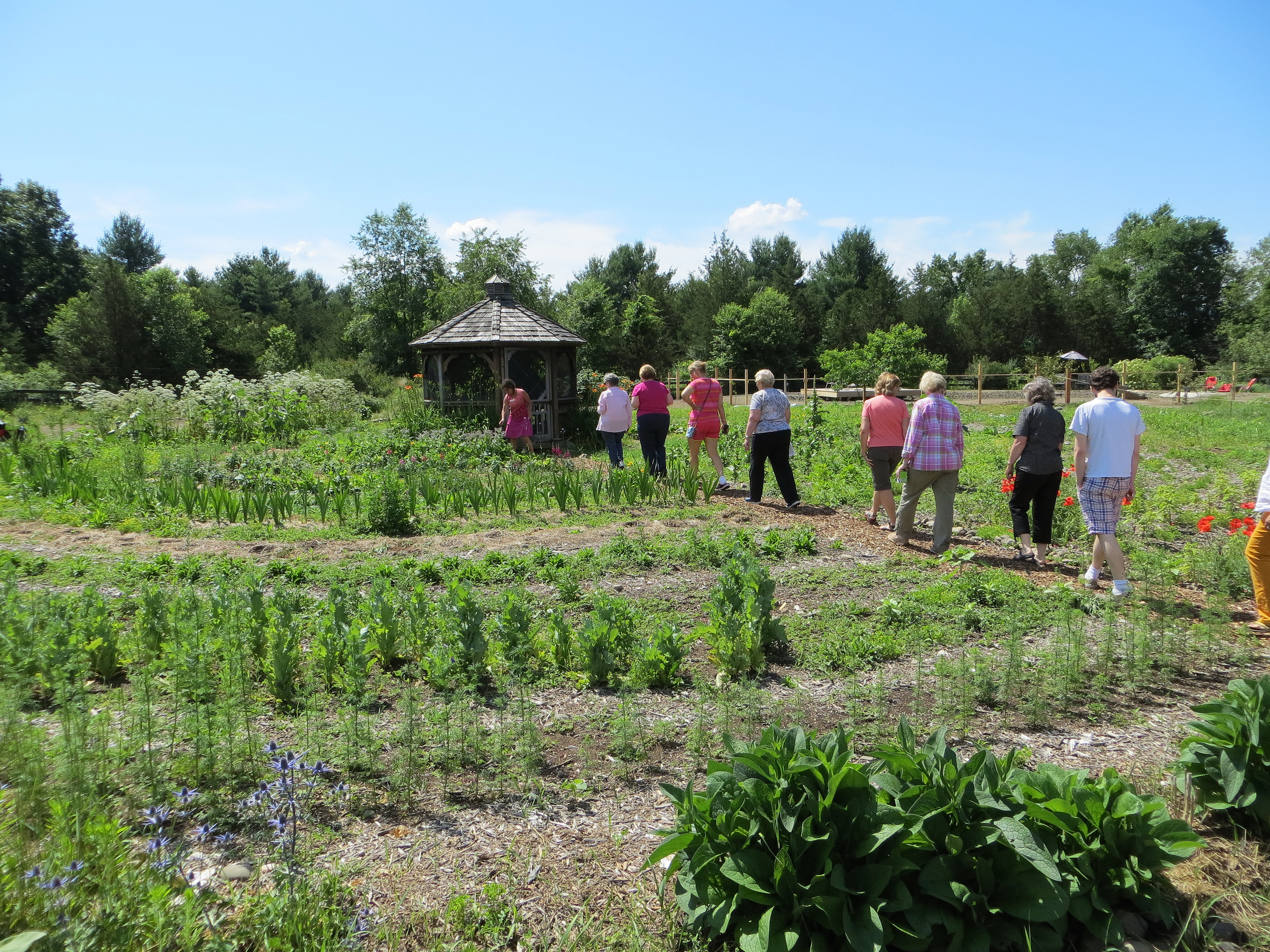 A tour of the gardens