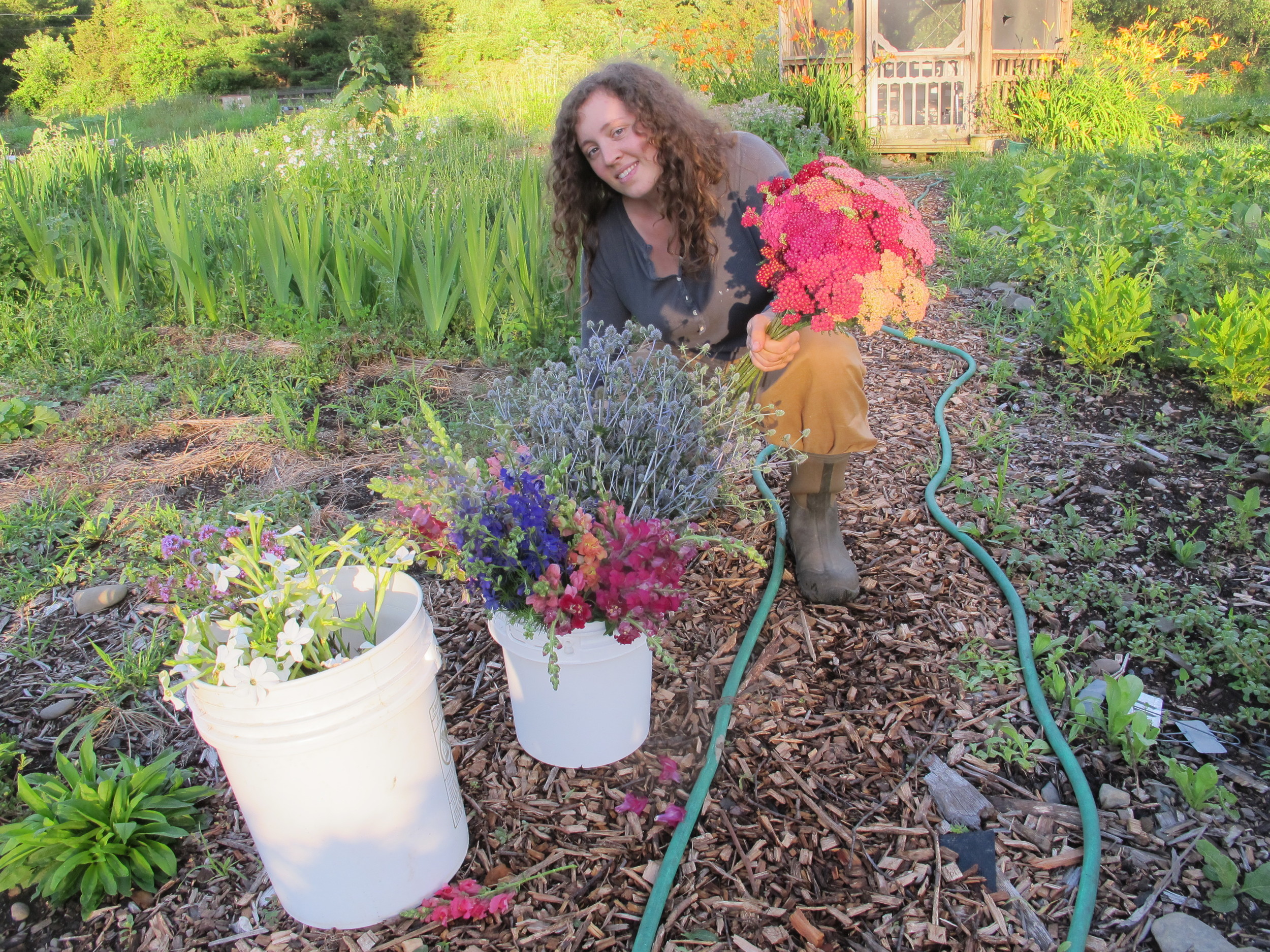 Mary Beth's beautiful cut flower garden