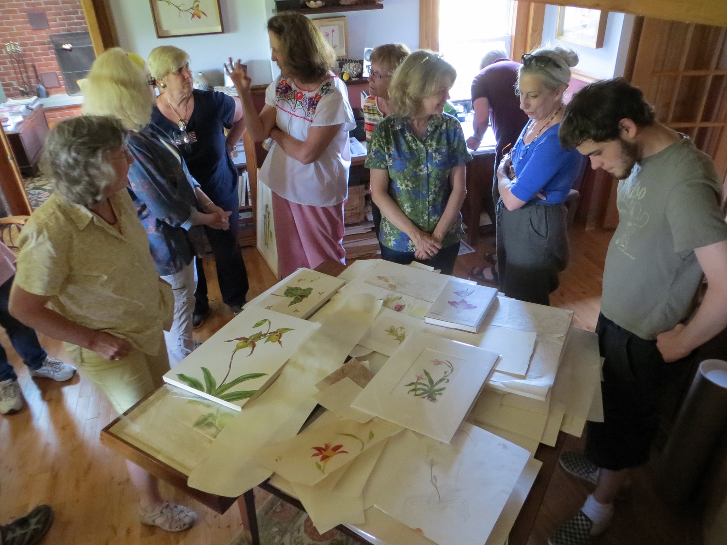 A tour of Botanical Artist Carol Woodin's studio where she paints on vellum