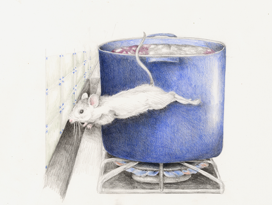 The mouse dives for cover behind the stove