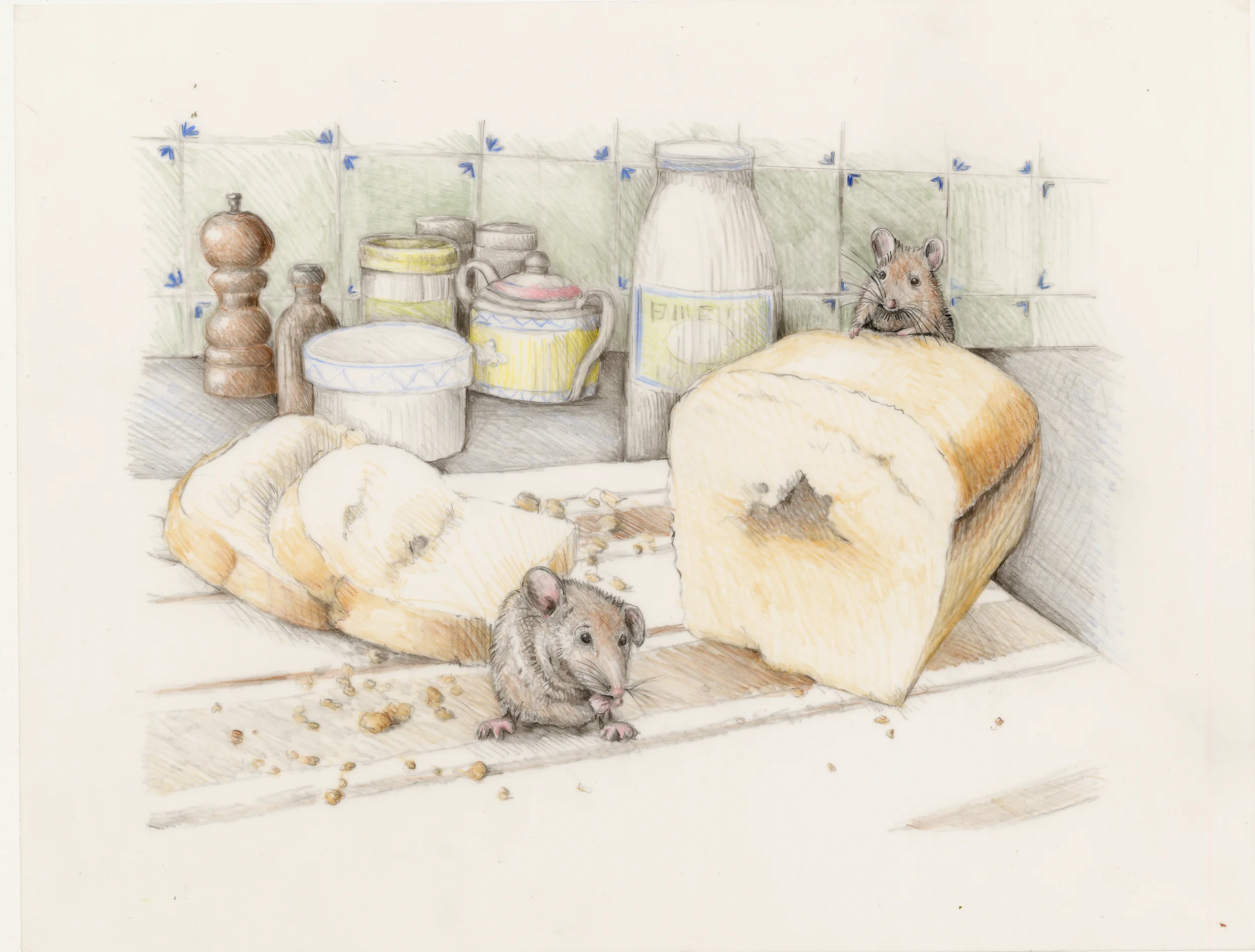 The mouse eating crumbs of bread