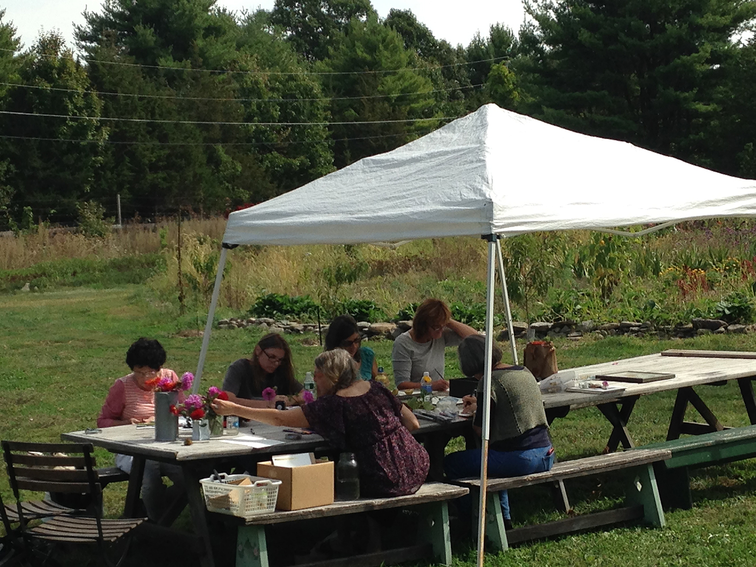 Students drawing Dahlias in the garden