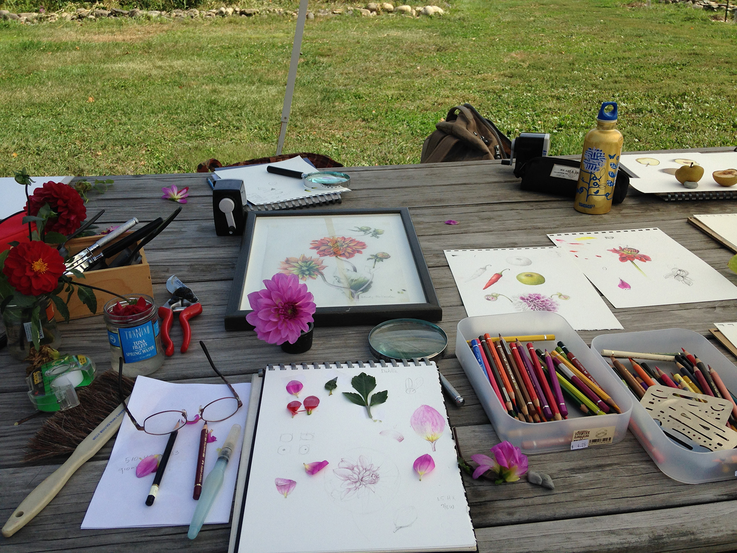 Wendy's set up for drawing a Dahlia