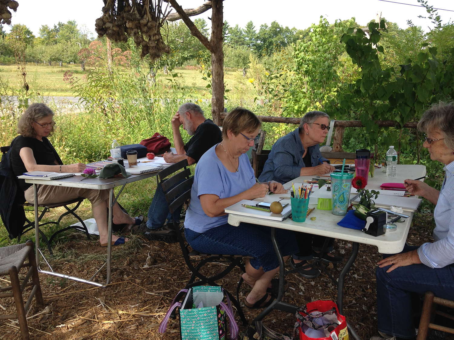Drawing under the farm store with apple orchard in the distance.