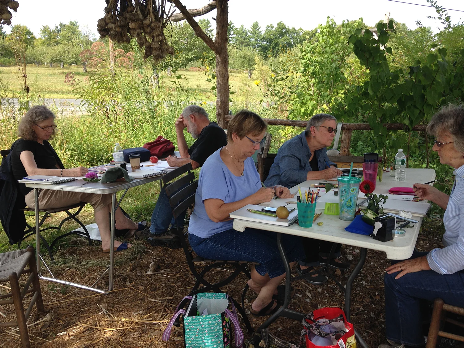 Drawing under the farm store with apple orchard in the distance.