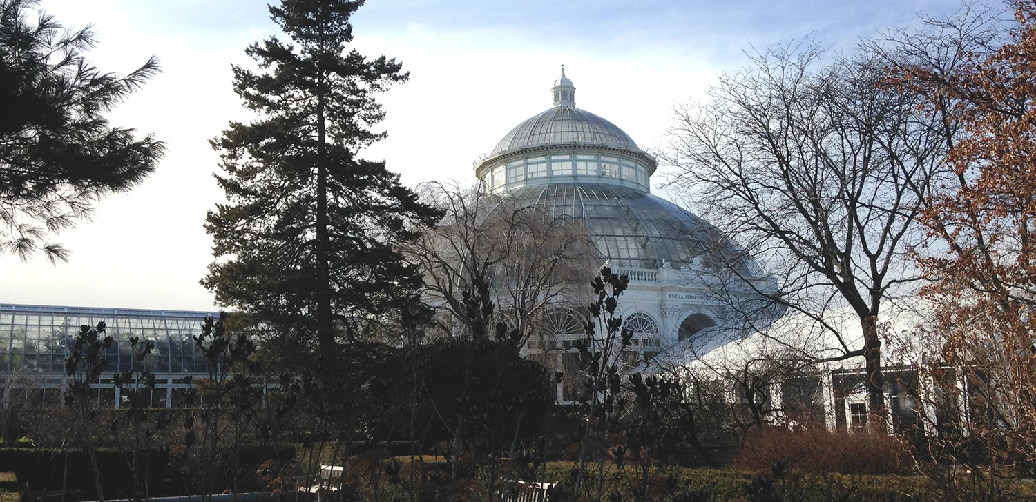 nybggreenhouse.jpg