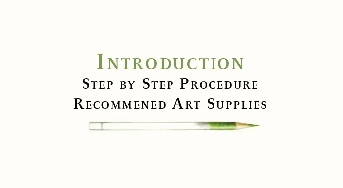 introheader copy.jpg