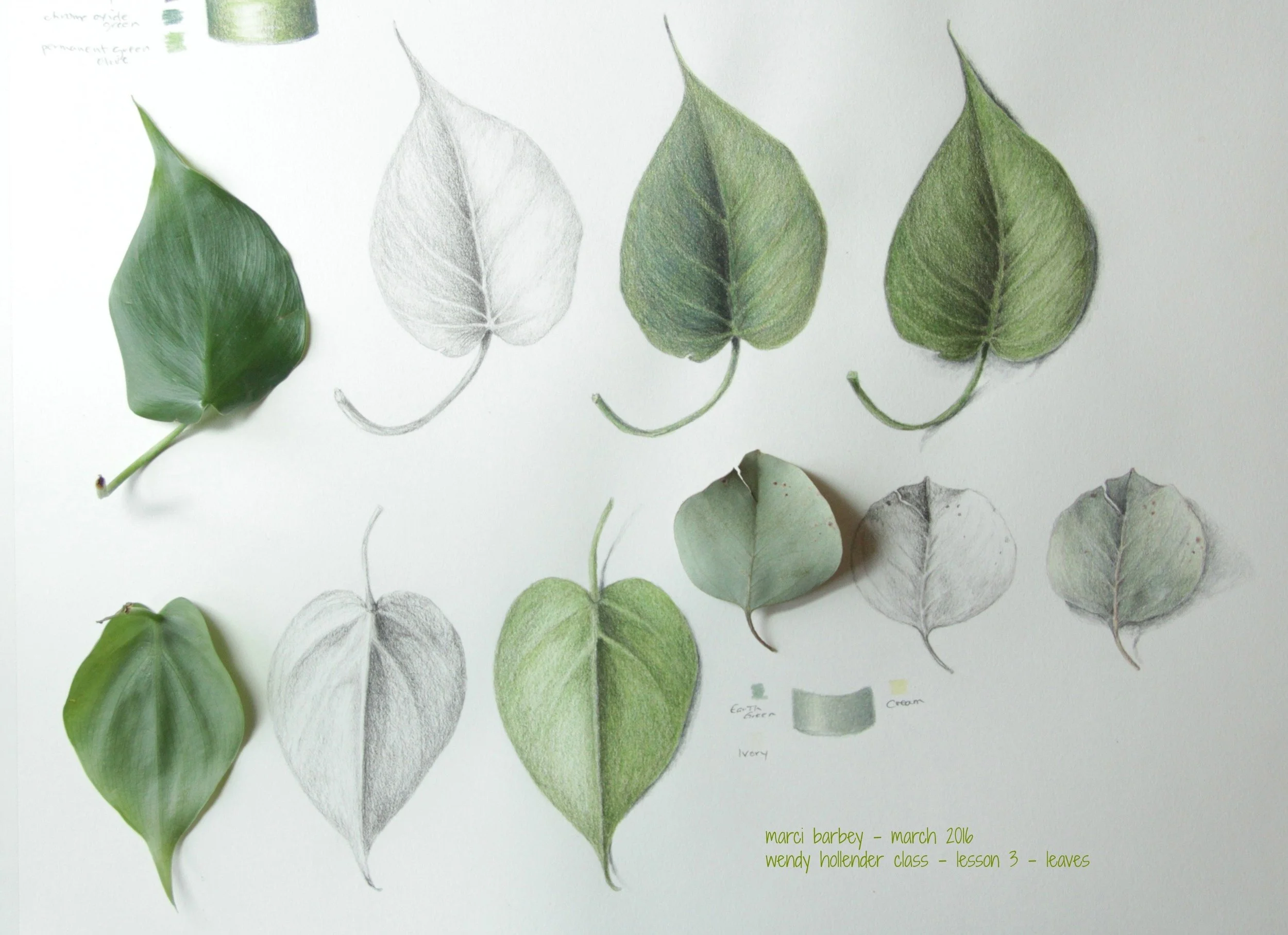 Marci Barbey