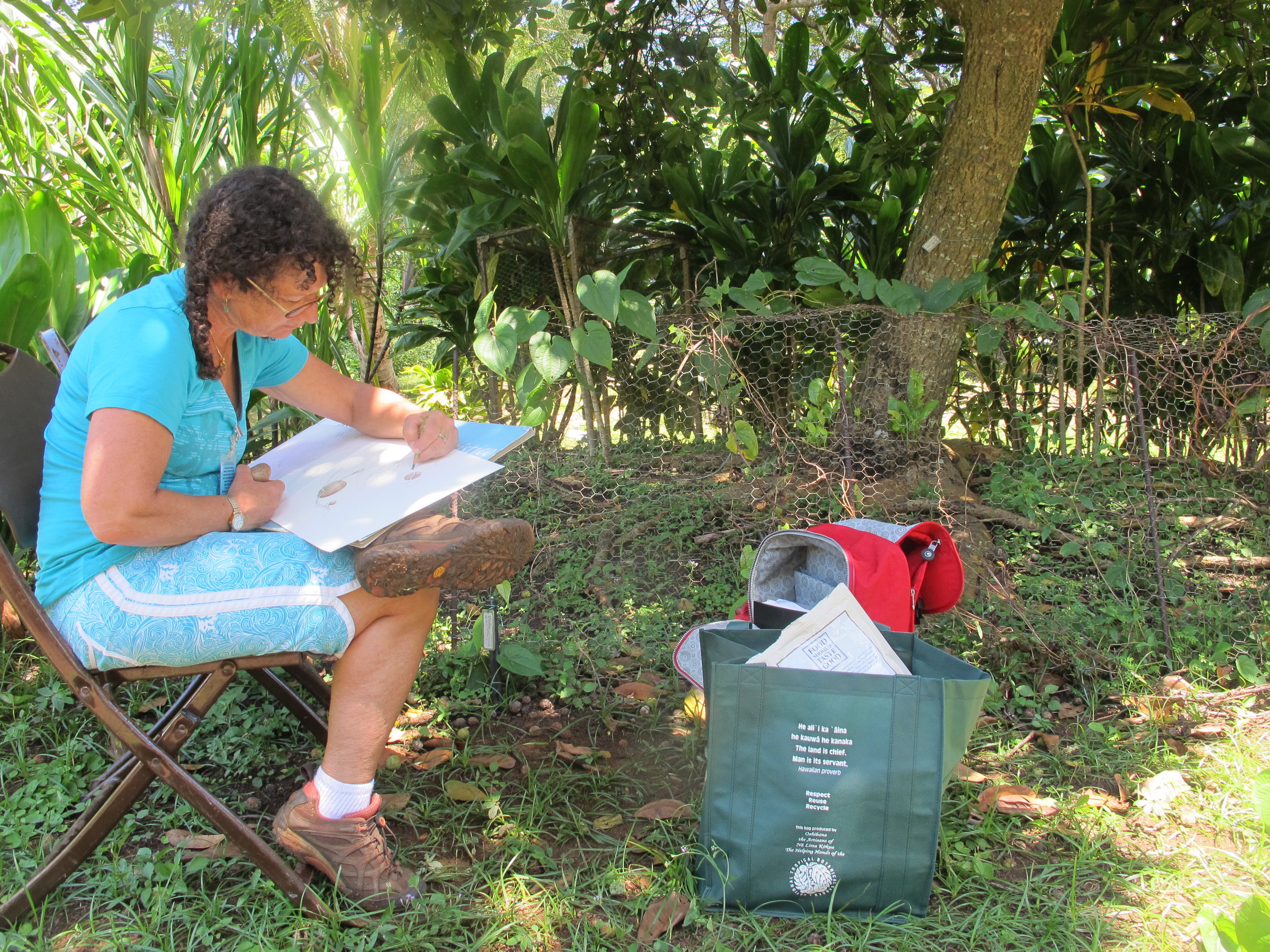Wendy drawing the Hoi/Bitter Yam at the National Tropical Botanical Garden, Kaua’i.