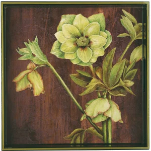 Trays for rockflowerpaper