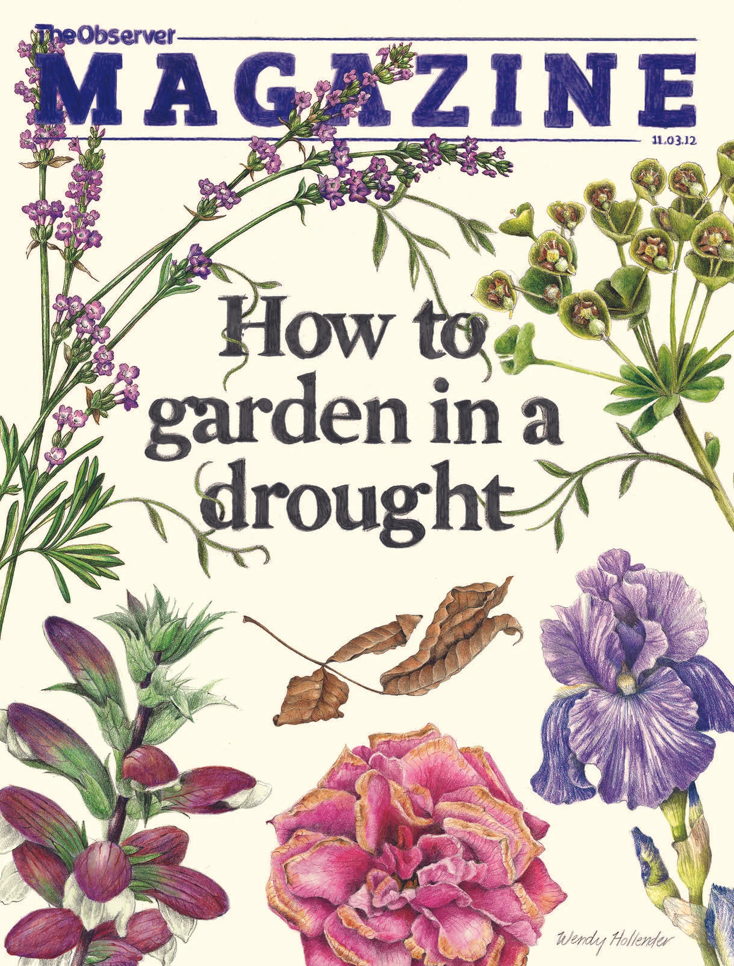 The Observer Magazine 2012