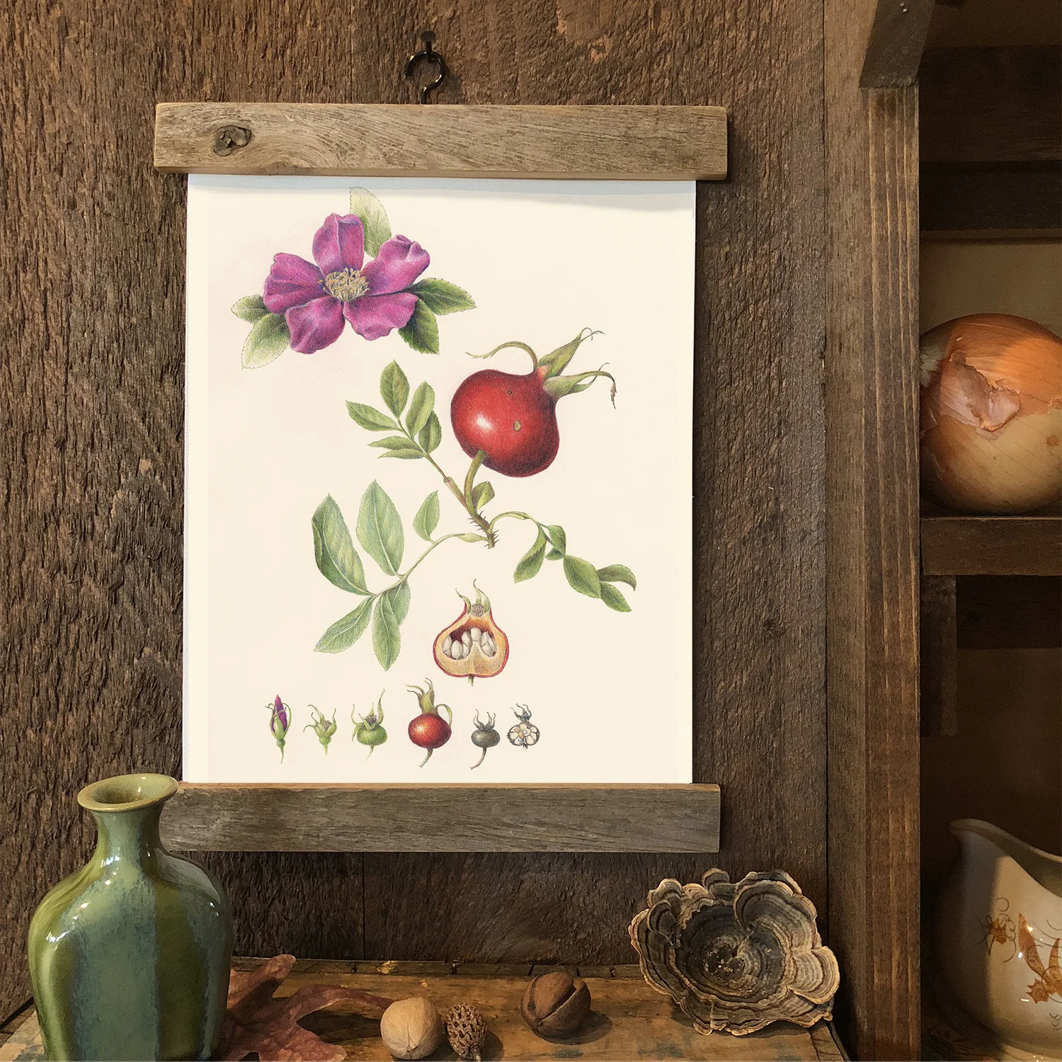 Rose Hip