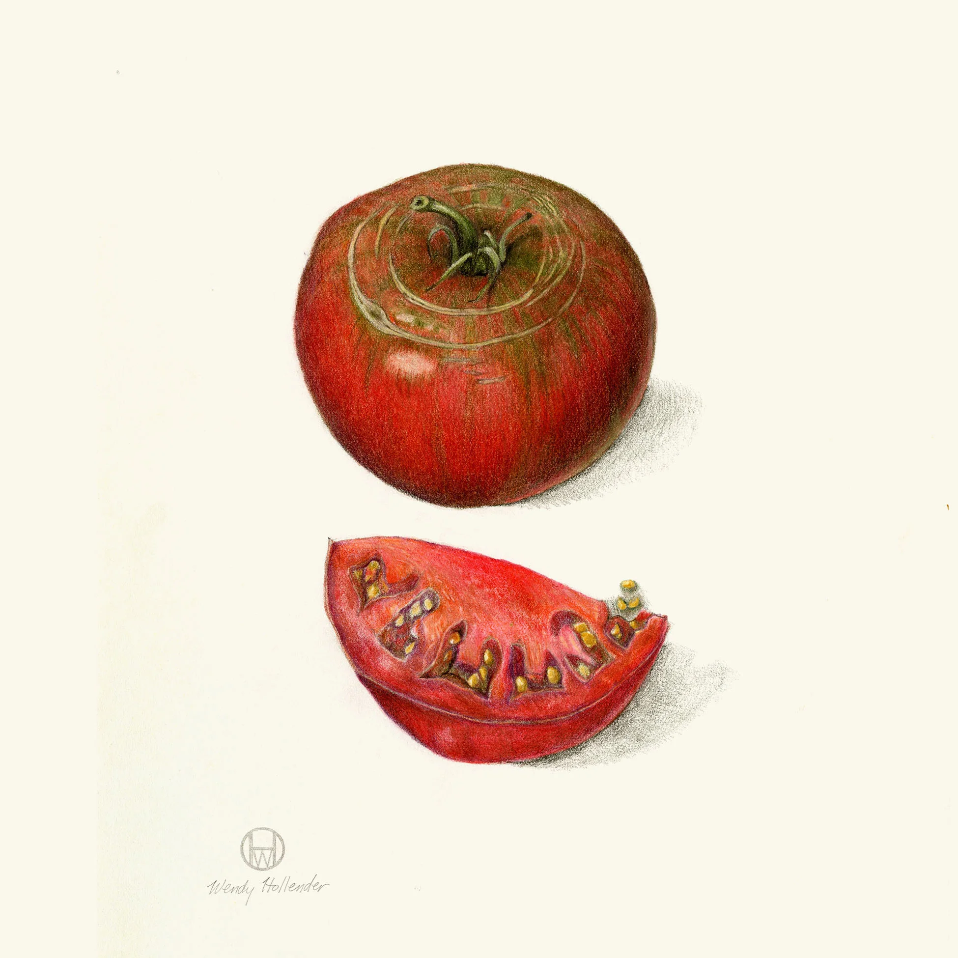 Brandywine tomato - Solanum lycopersicum