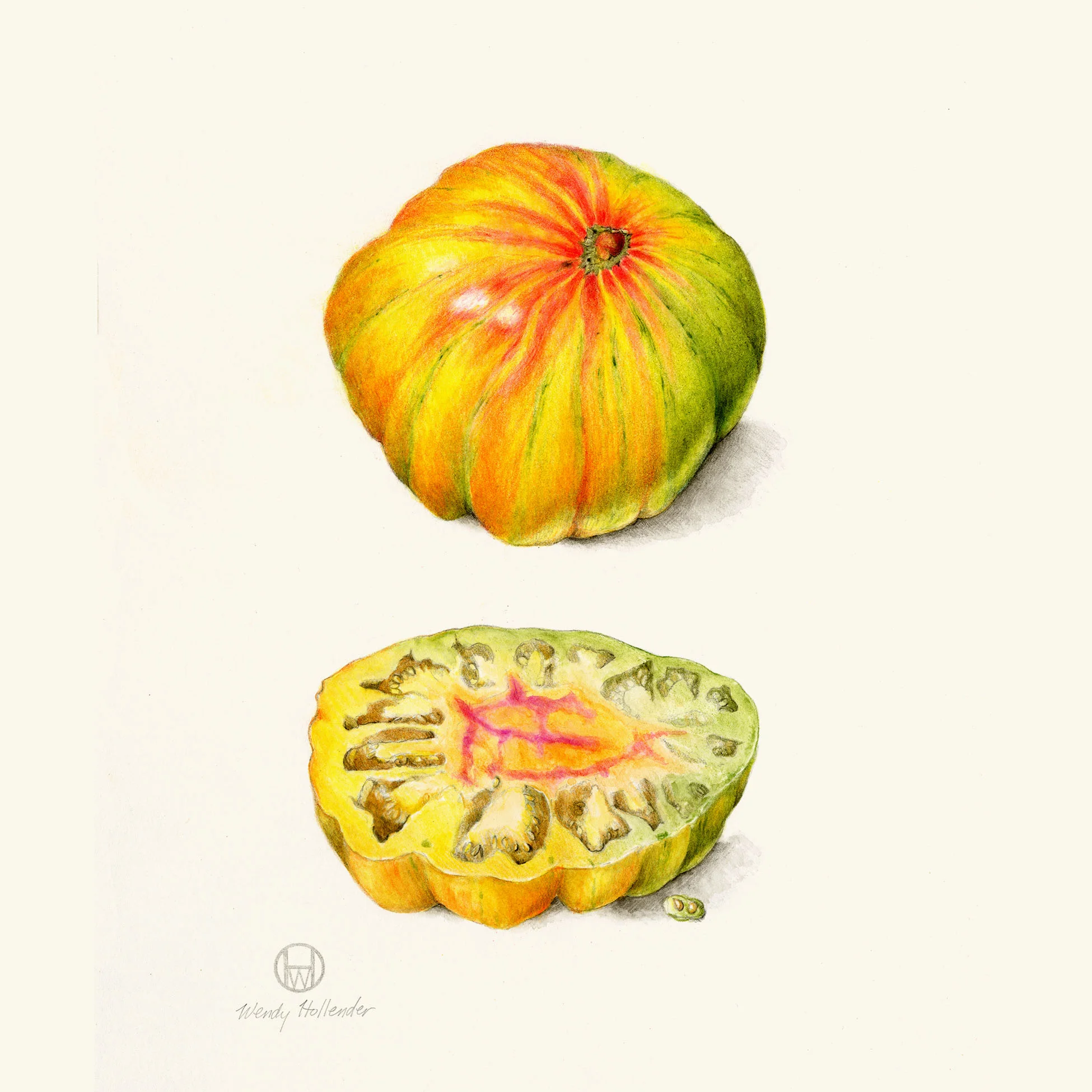 Copla tomato - Solanum lycopersicum