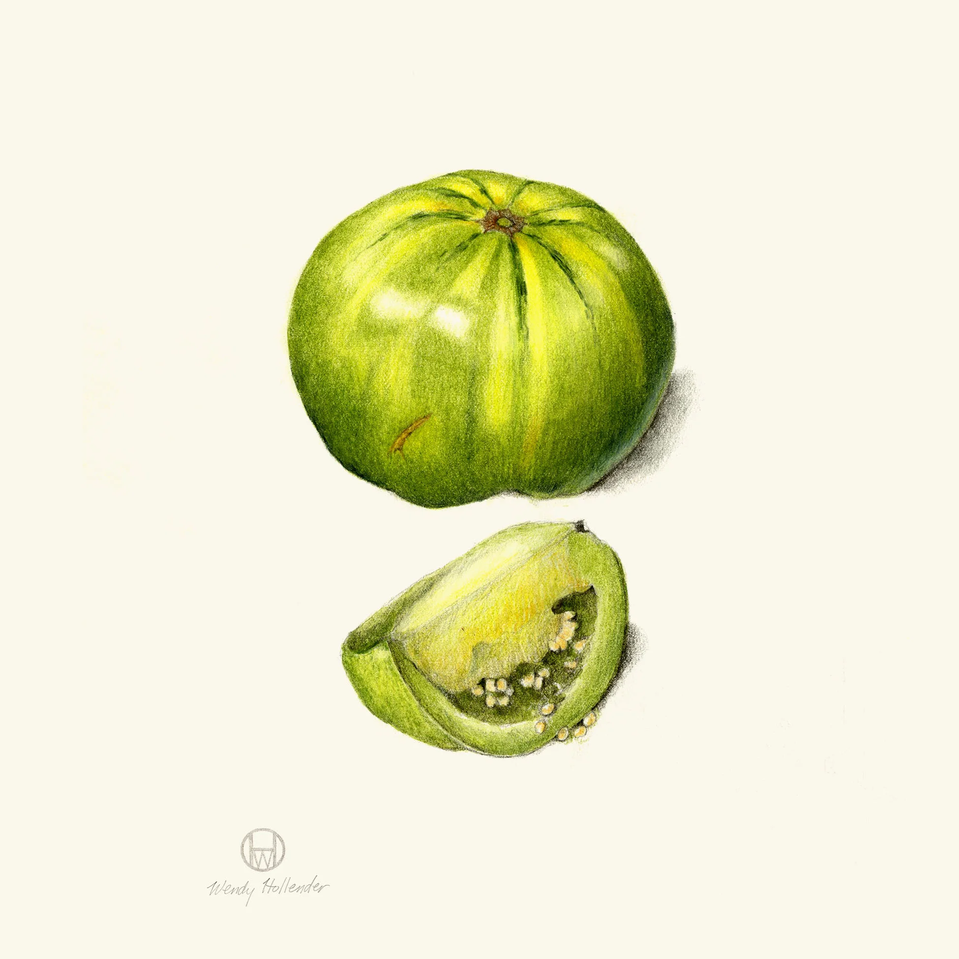 Green tomato - Solanum lycopersicum