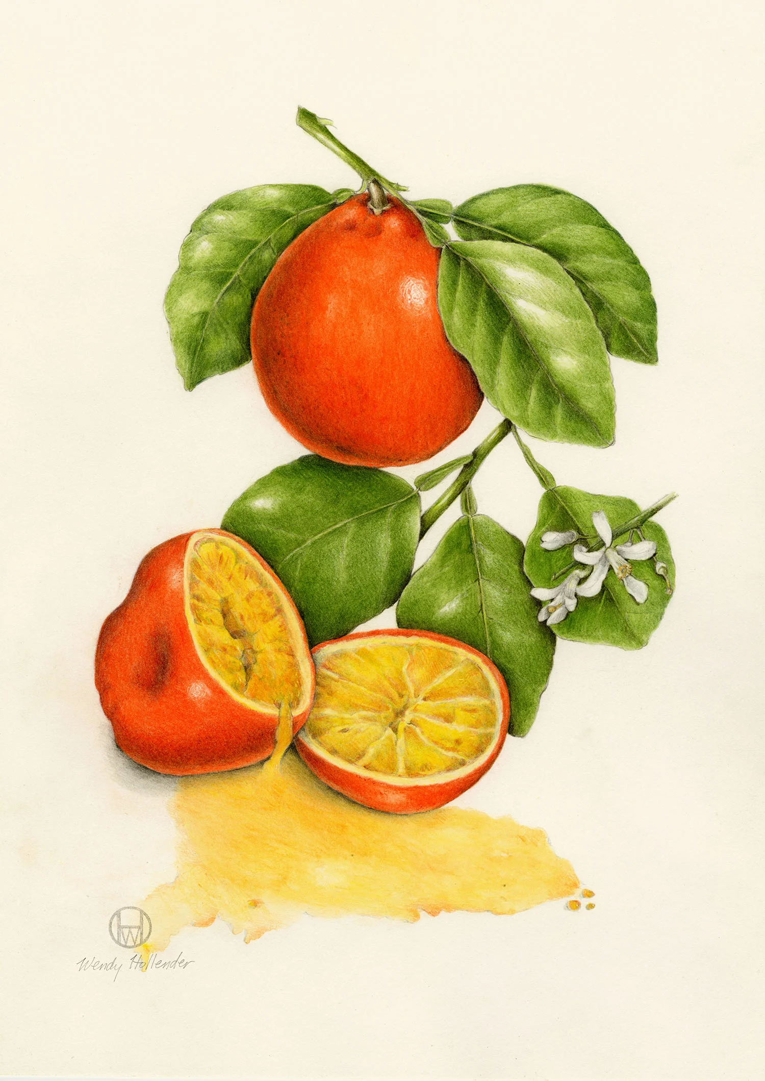 Tangelo