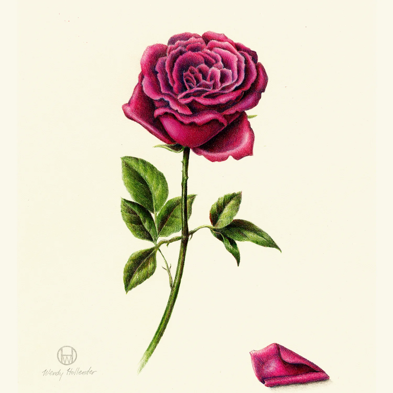 Rose