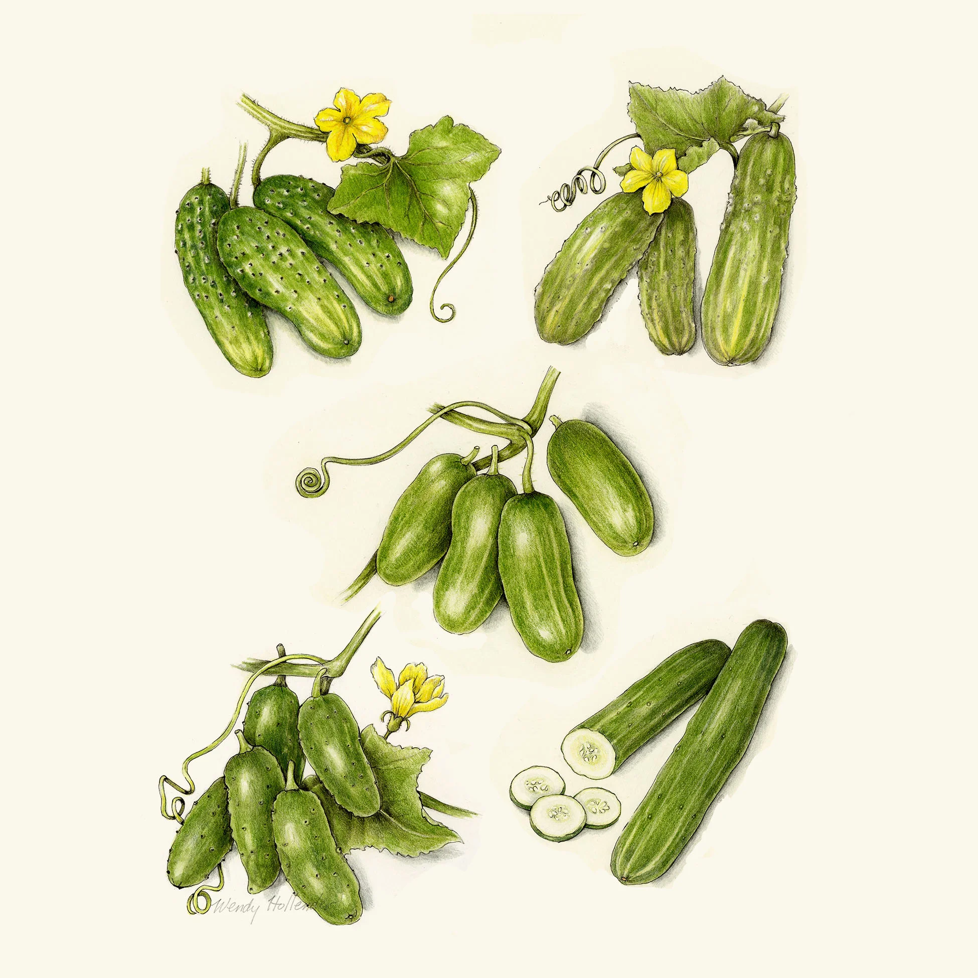 Cucumbers