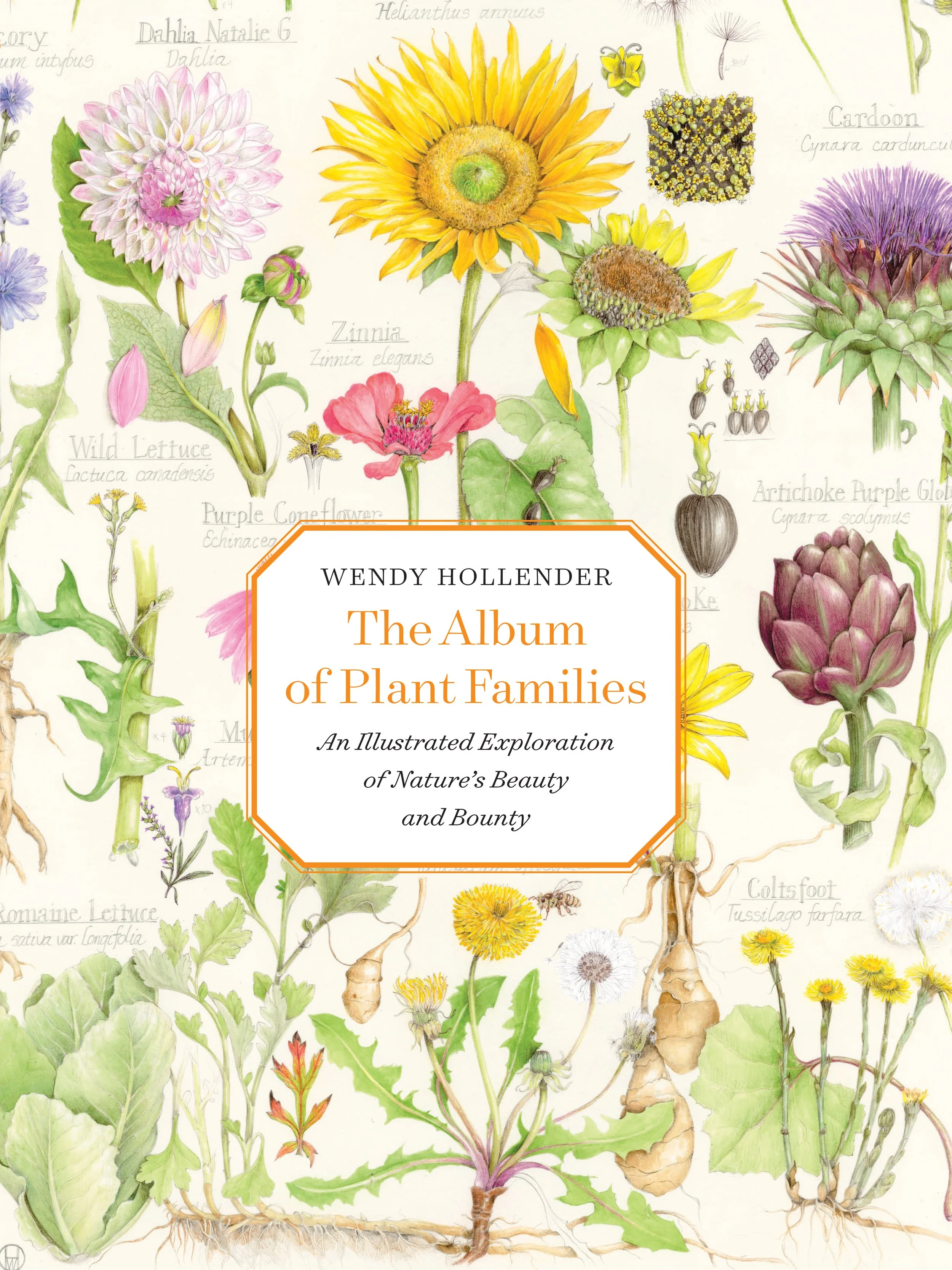 COVERplantfamilies_cover_rev.jpg
