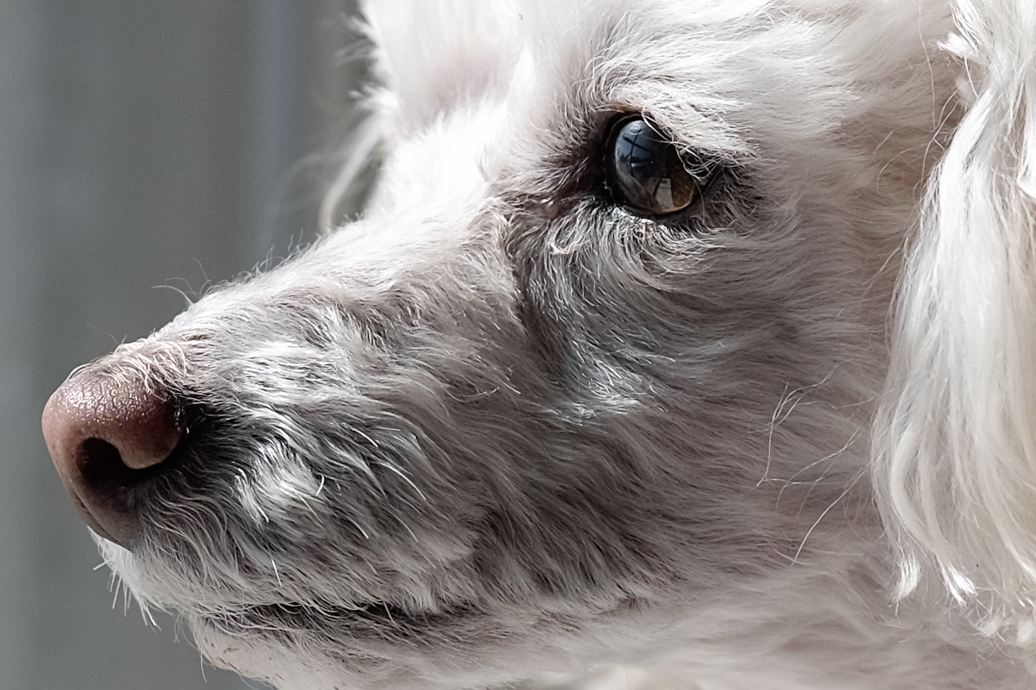 100% crop for pixel peepers