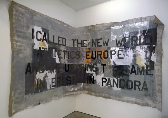 Campagin Banner II, 2012. Acrylic and ink on paper and fabric, 240 x 480 cm. 