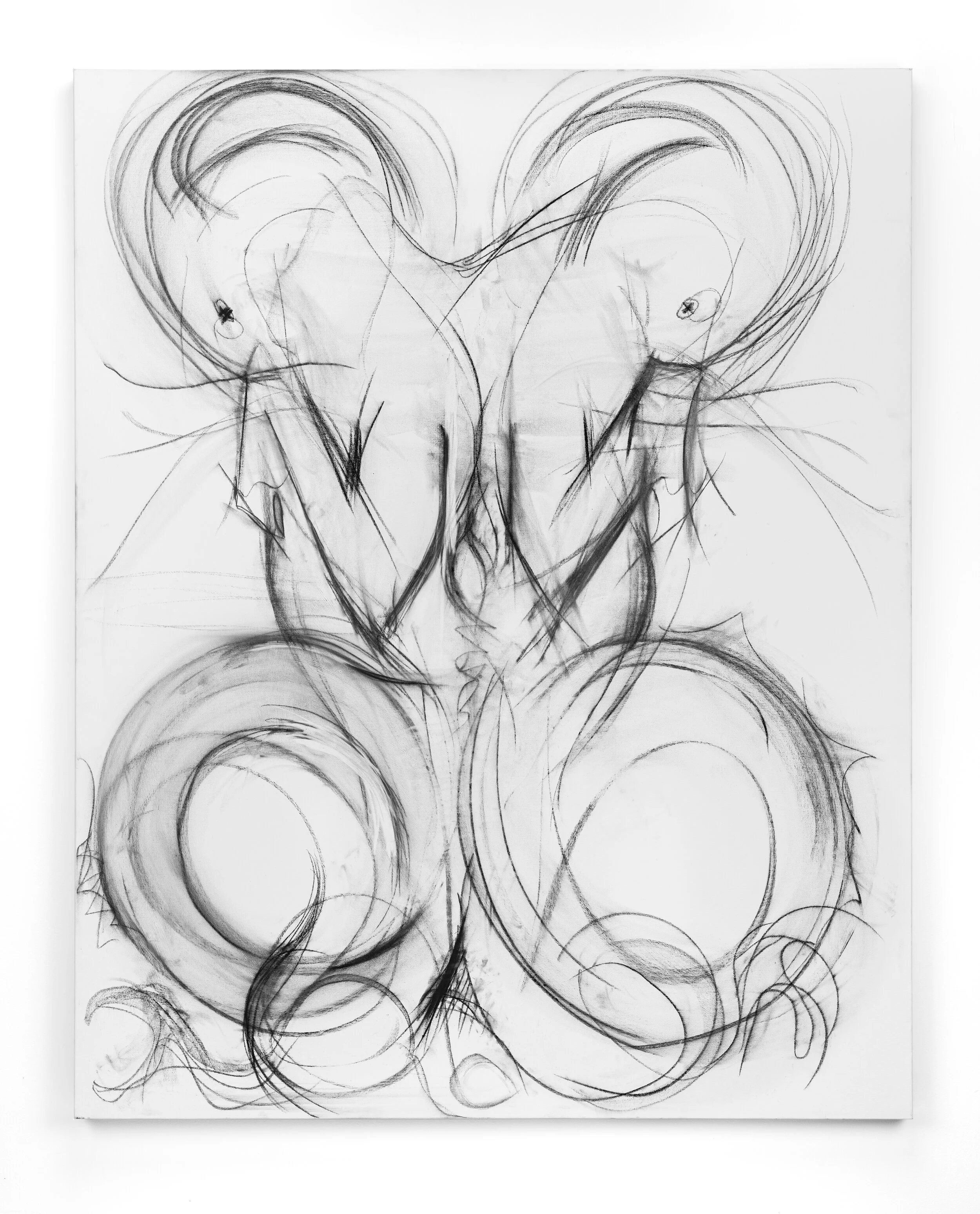  Capricorns. Charcoal, gesso on canvas. 2017  