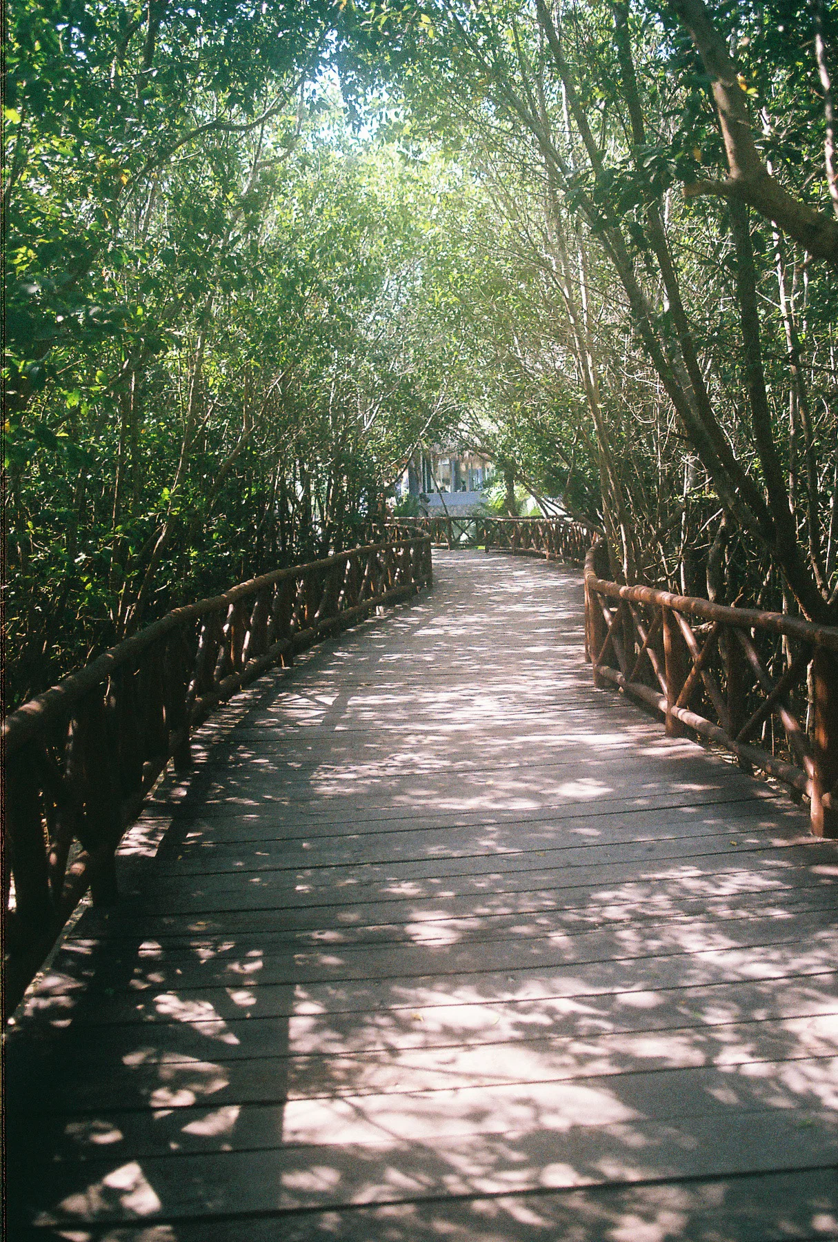 R1-02853-0001.jpg