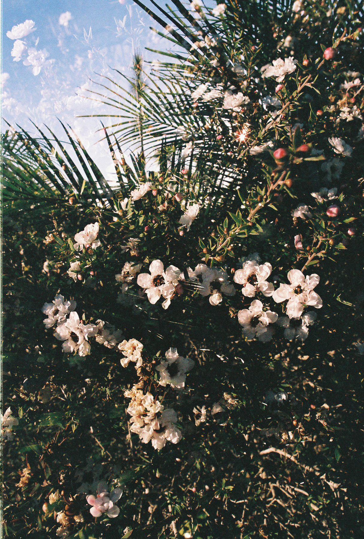 R1-02857-0018.jpg